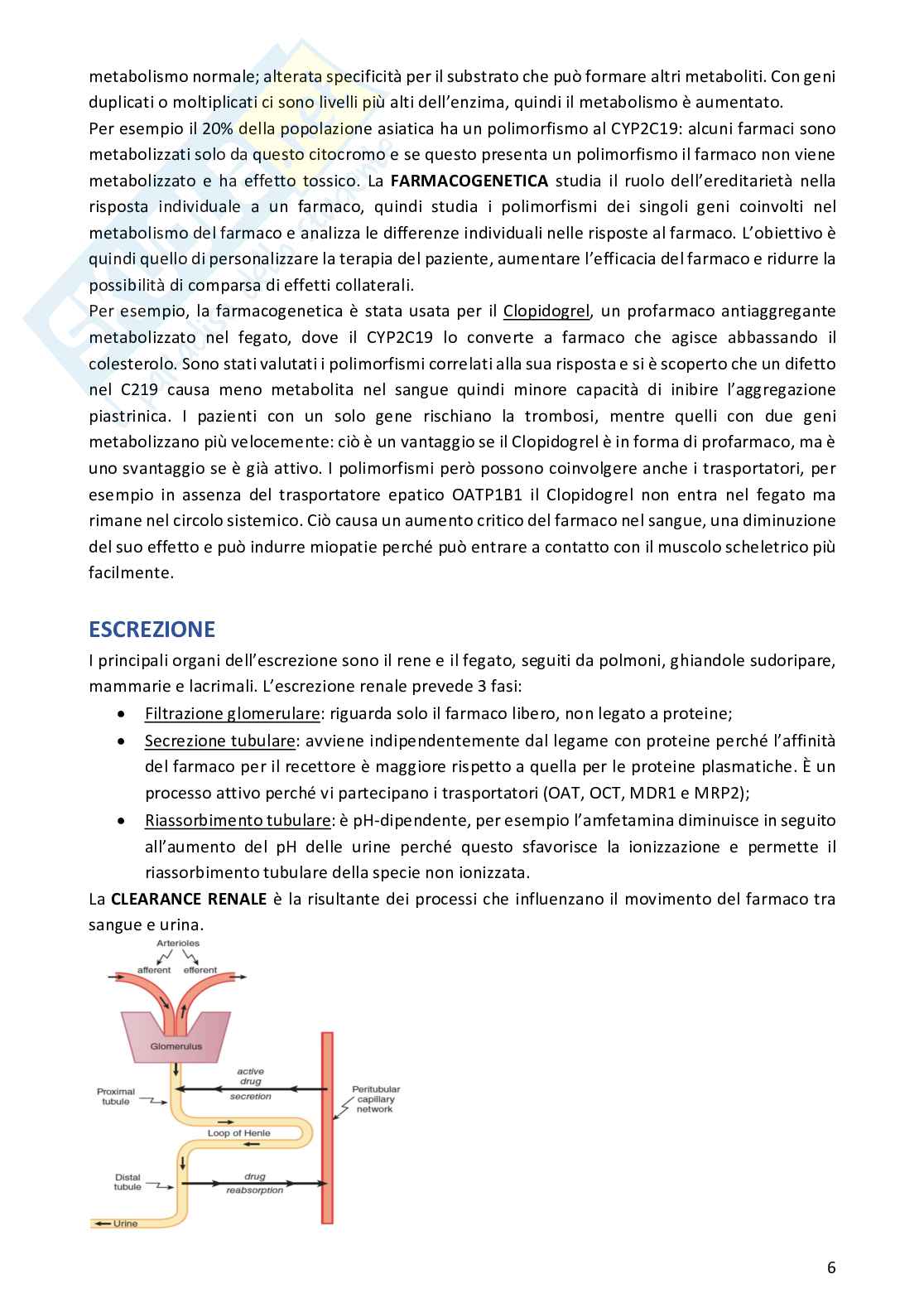 Appunti di Farmacologia e farmacoterapia Pag. 6