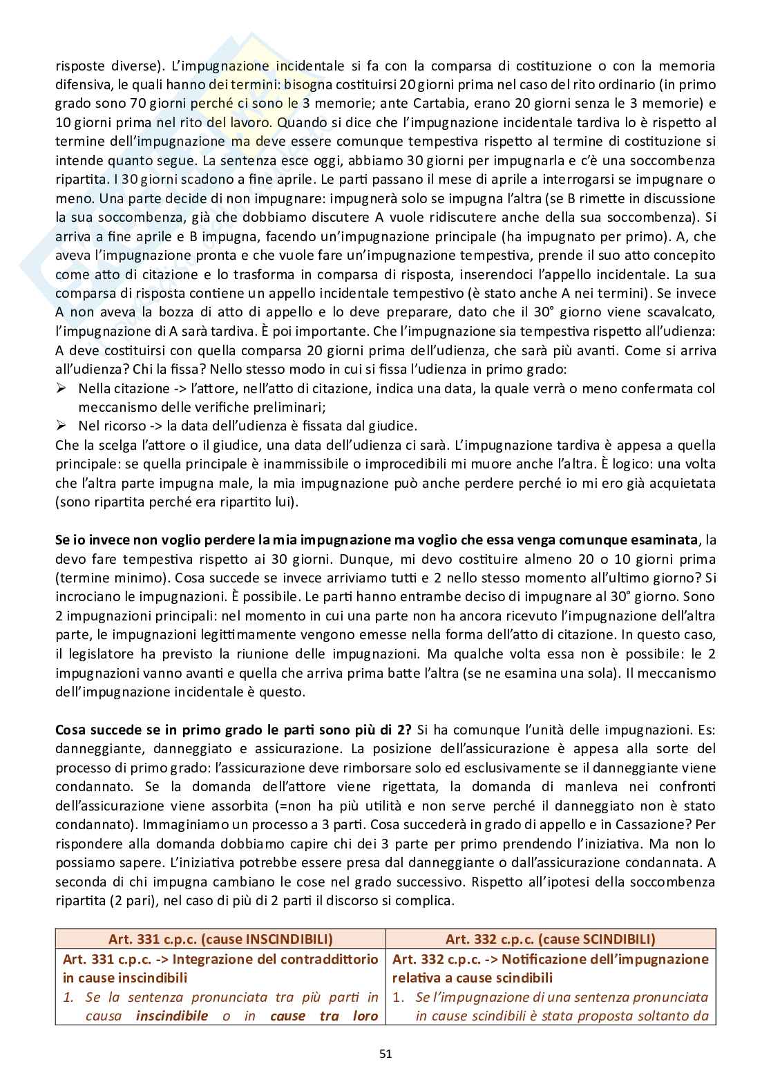 Appunti di Diritto processuale civile (modulo B) Pag. 51