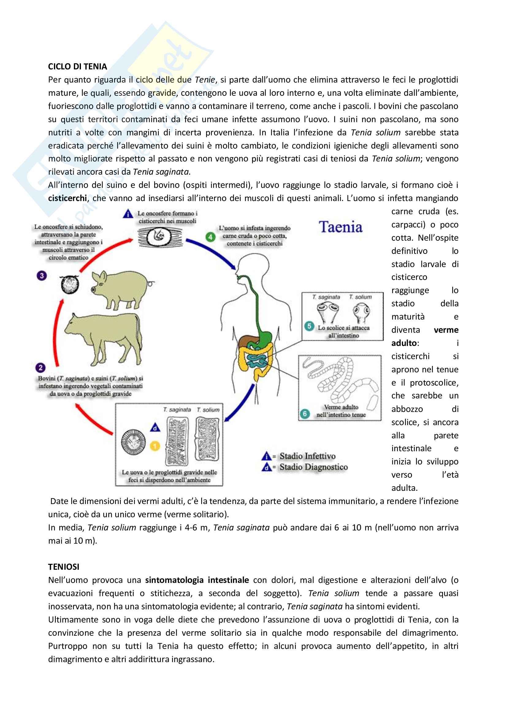 Elminti cestodi e nematodi Pag. 2