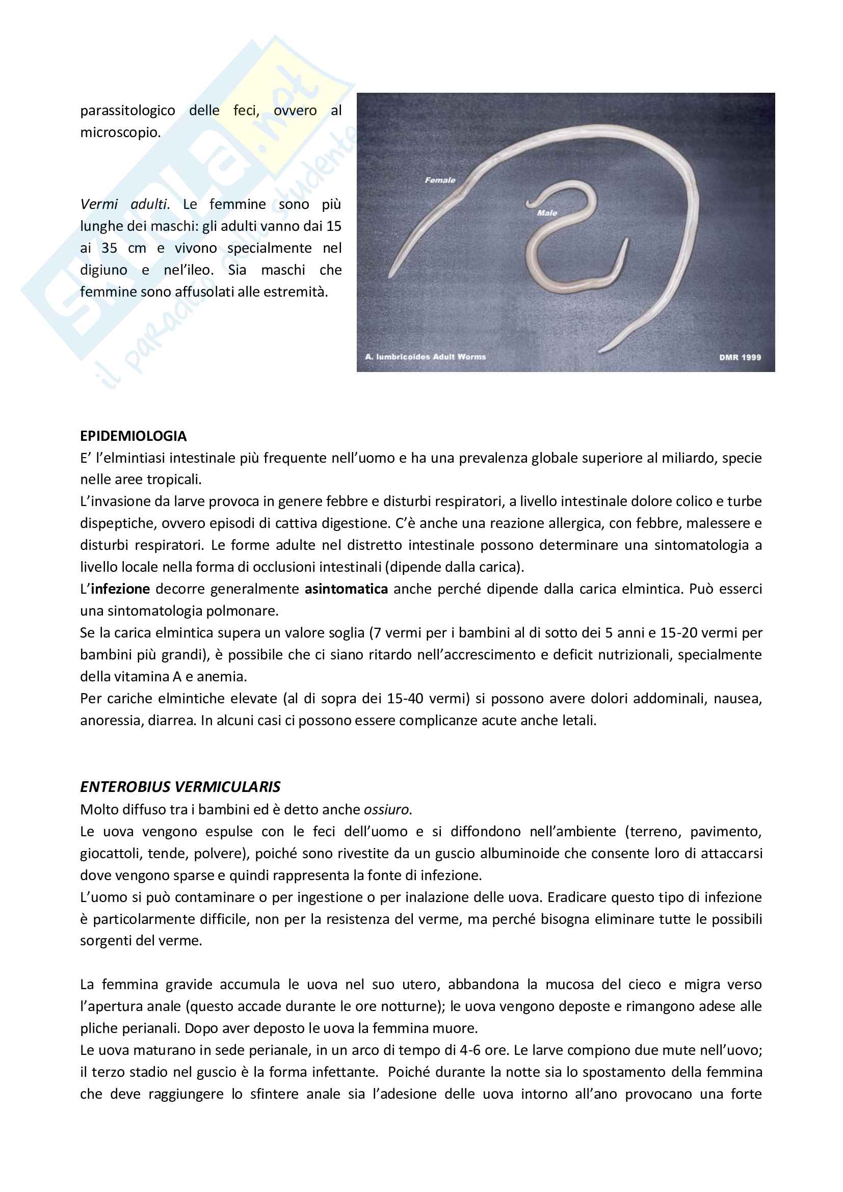 Elminti cestodi e nematodi Pag. 6