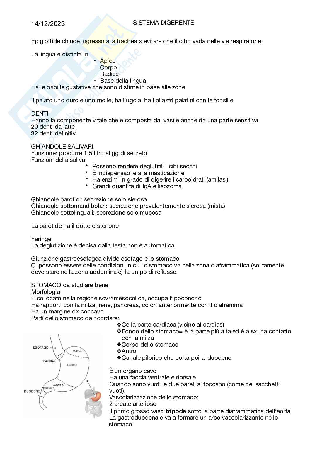 Anatomia umana Pag. 21