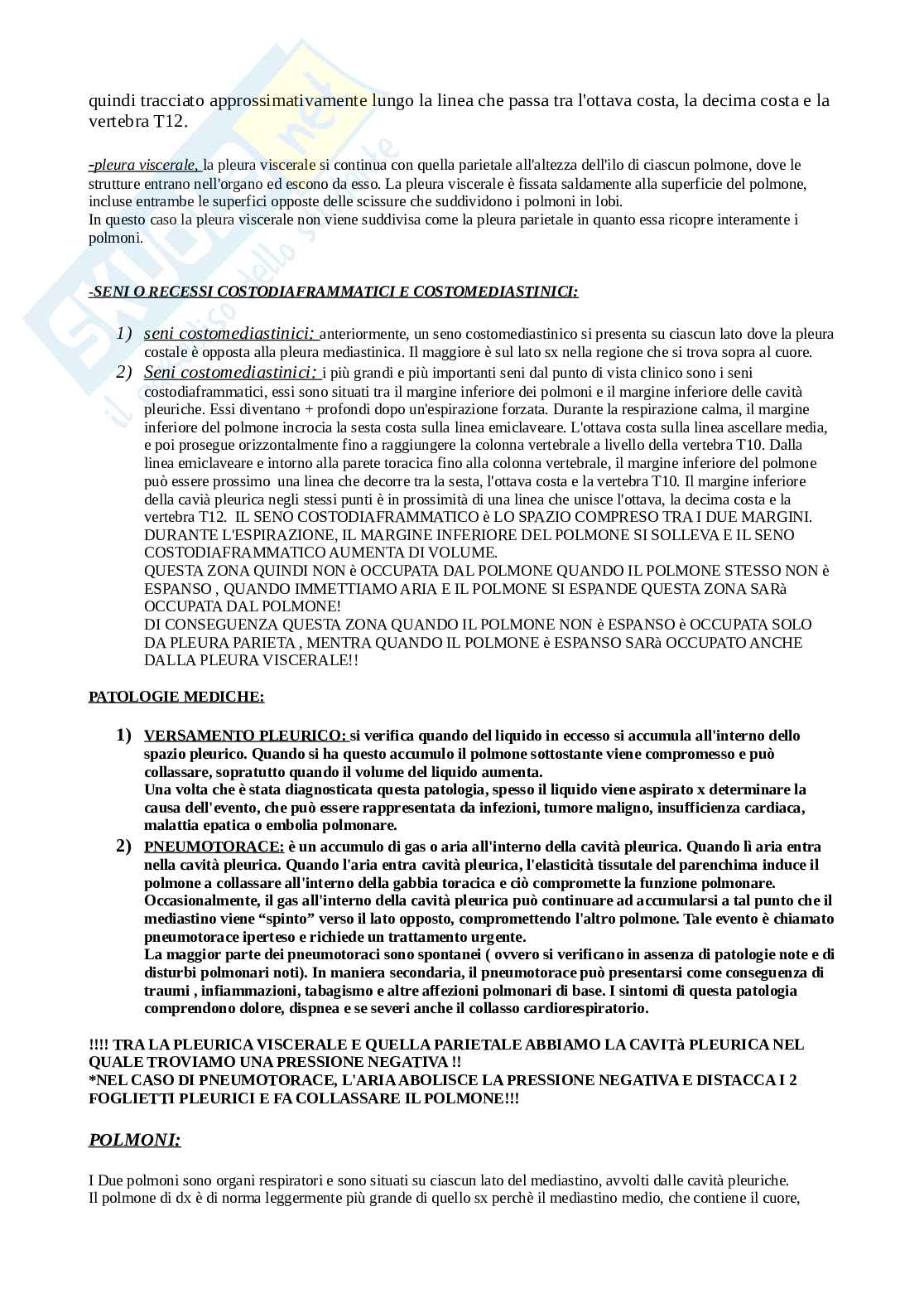 Sistema respiratorio - polmoni e bronchi Pag. 2
