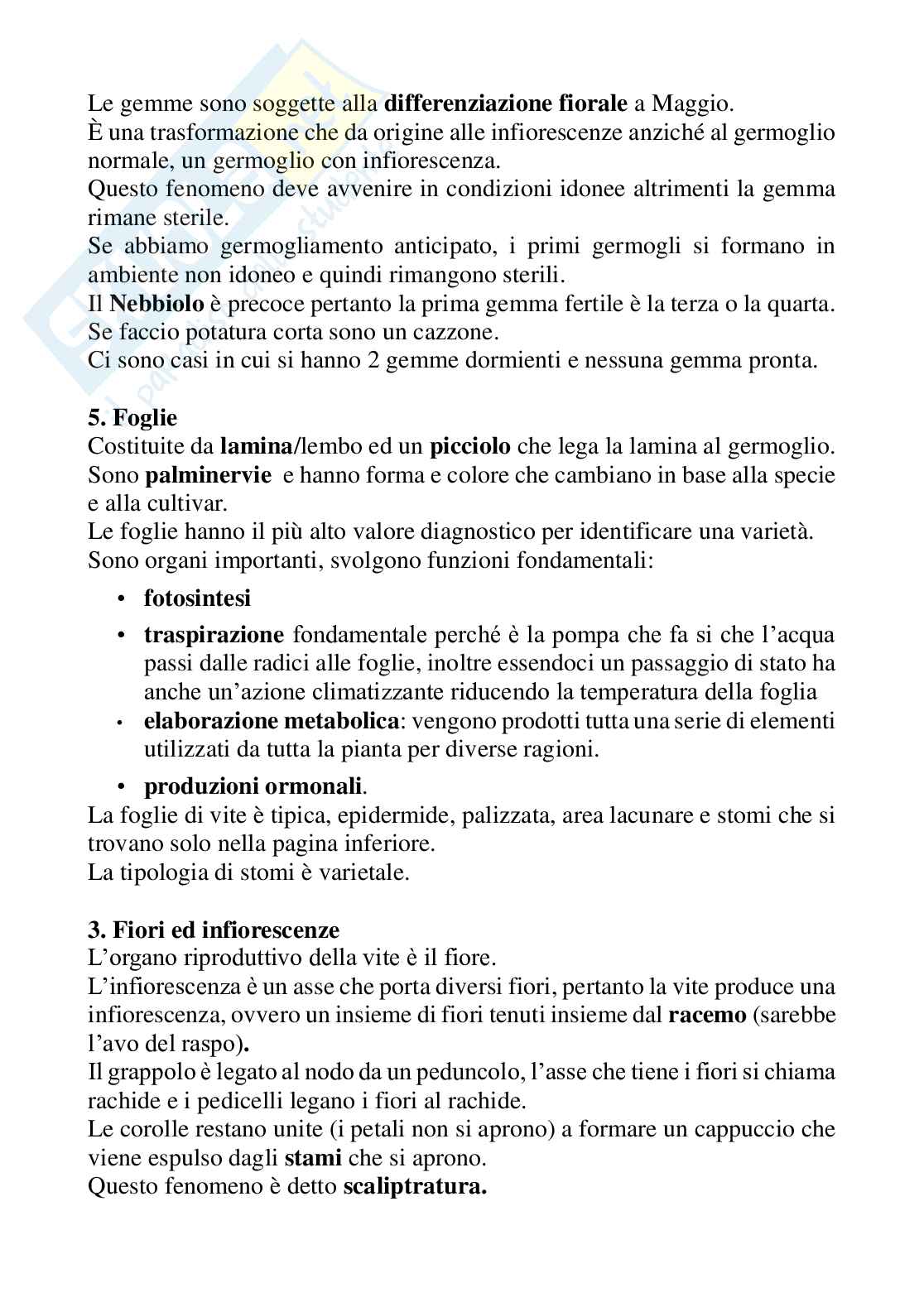 Viticoltura - Appunti COMPLETI di Viticoltura presi durante le lezioni in presenza al computer - Pagine 120 Pag. 46