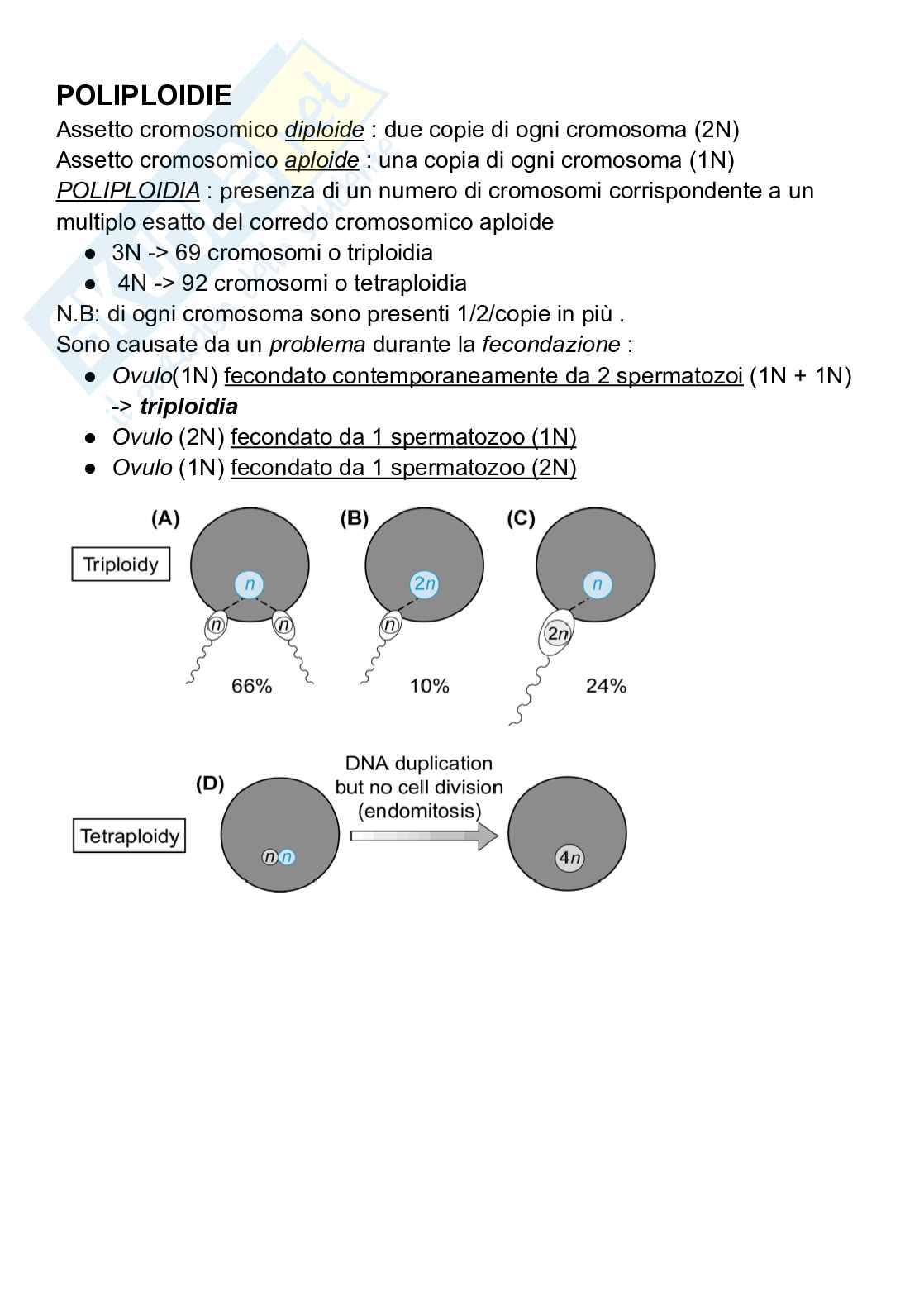 Appunti Genetica  Pag. 21