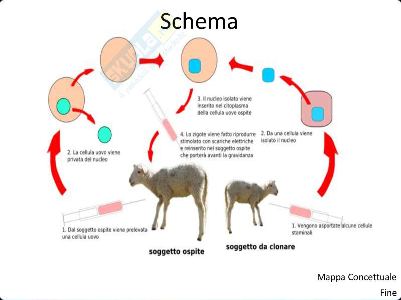 Bioetica Pag. 16