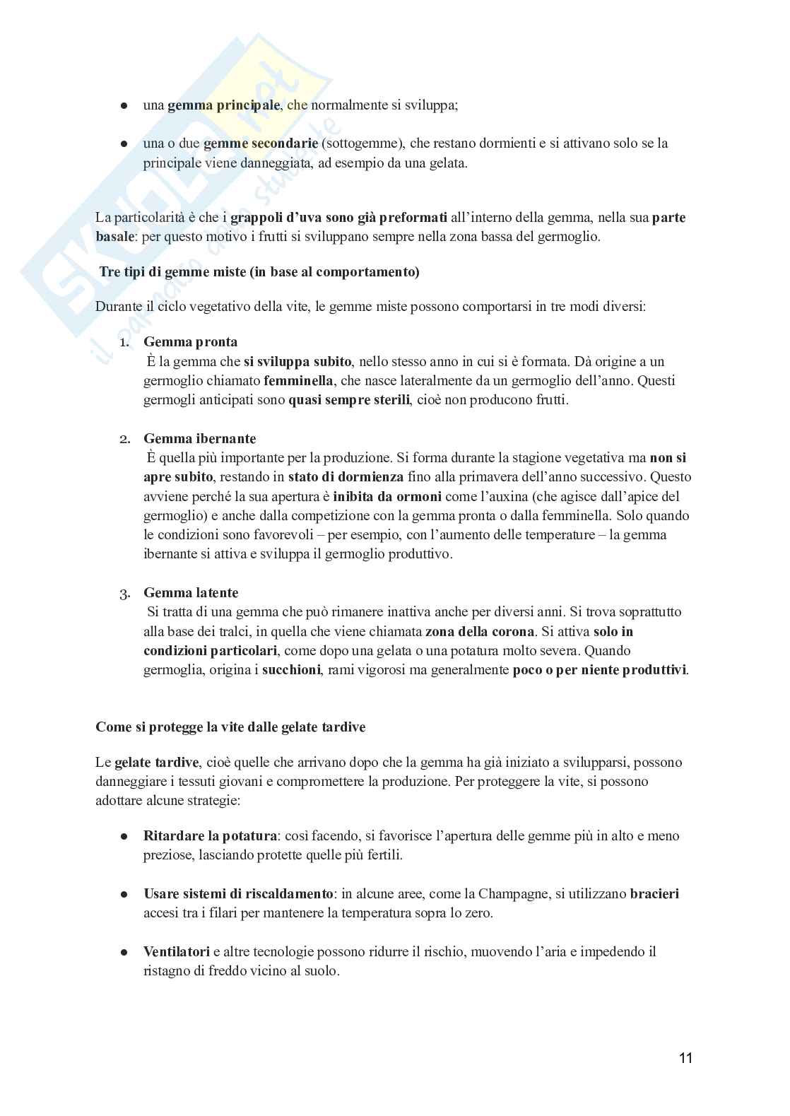 Viticoltura generale Pag. 11