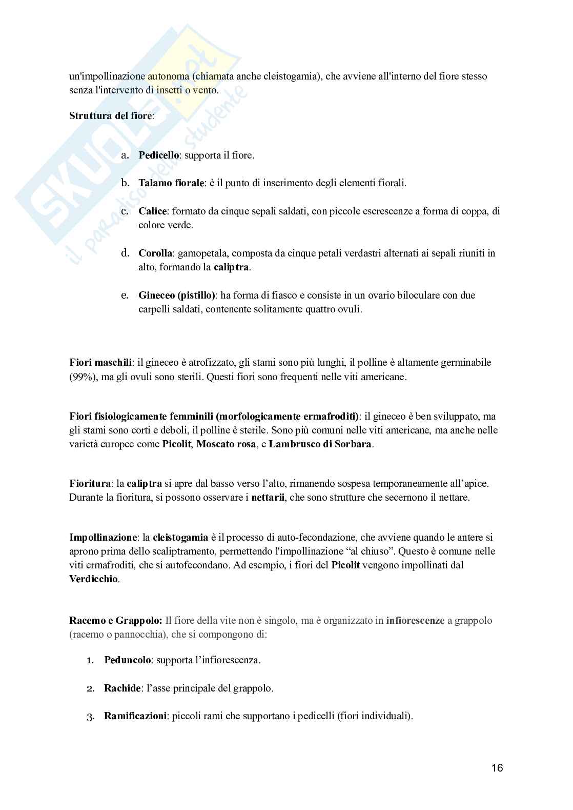 Viticoltura generale Pag. 16