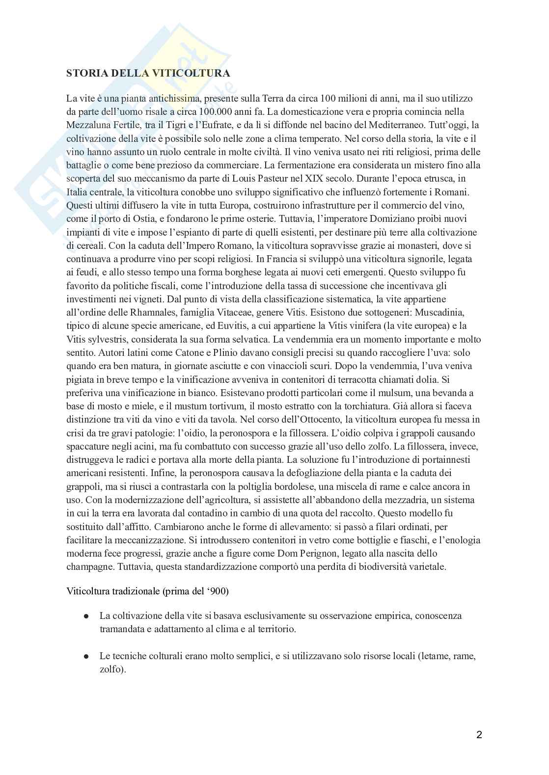 Viticoltura generale Pag. 2