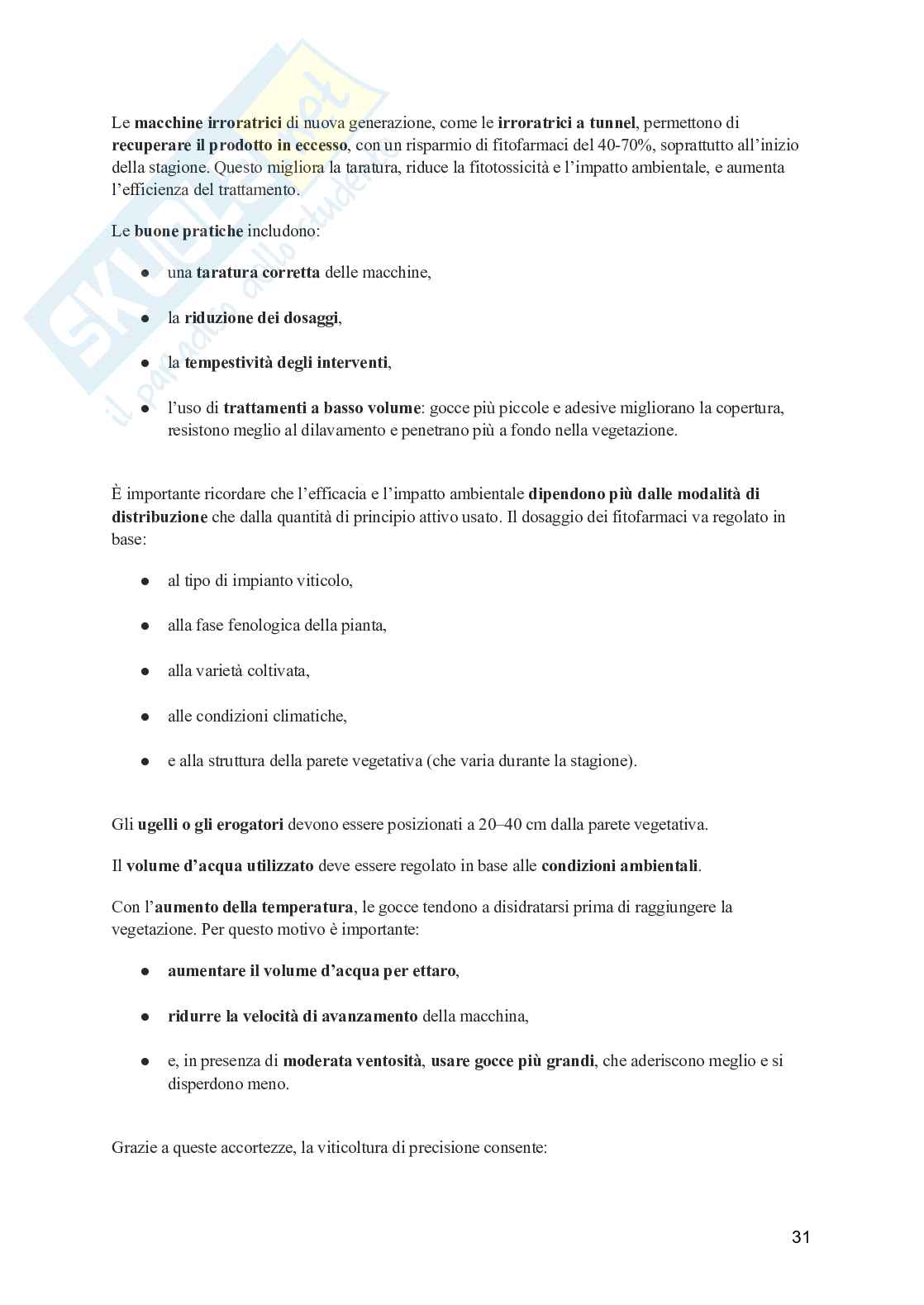 Viticoltura generale Pag. 31