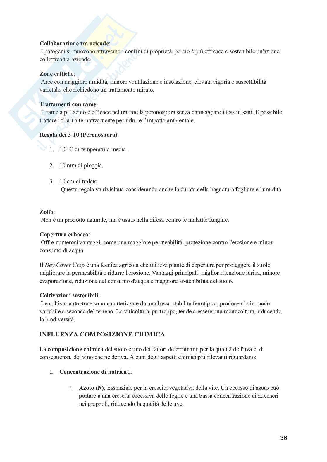 Viticoltura generale Pag. 36