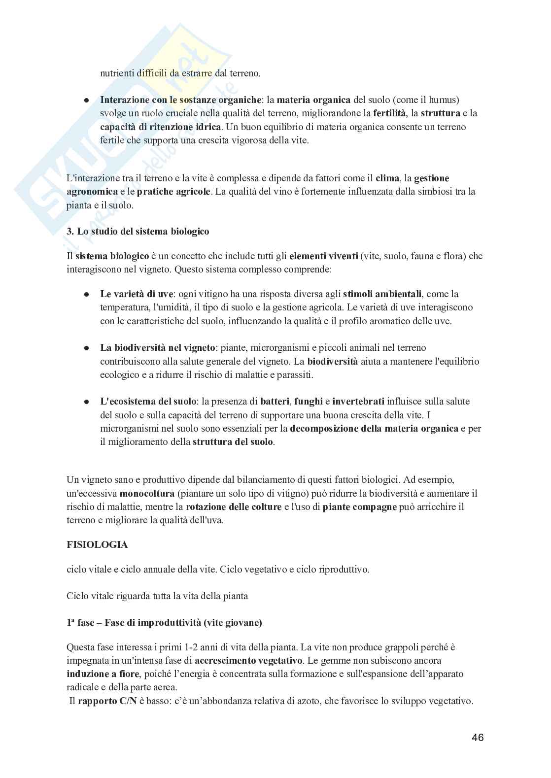 Viticoltura generale Pag. 46