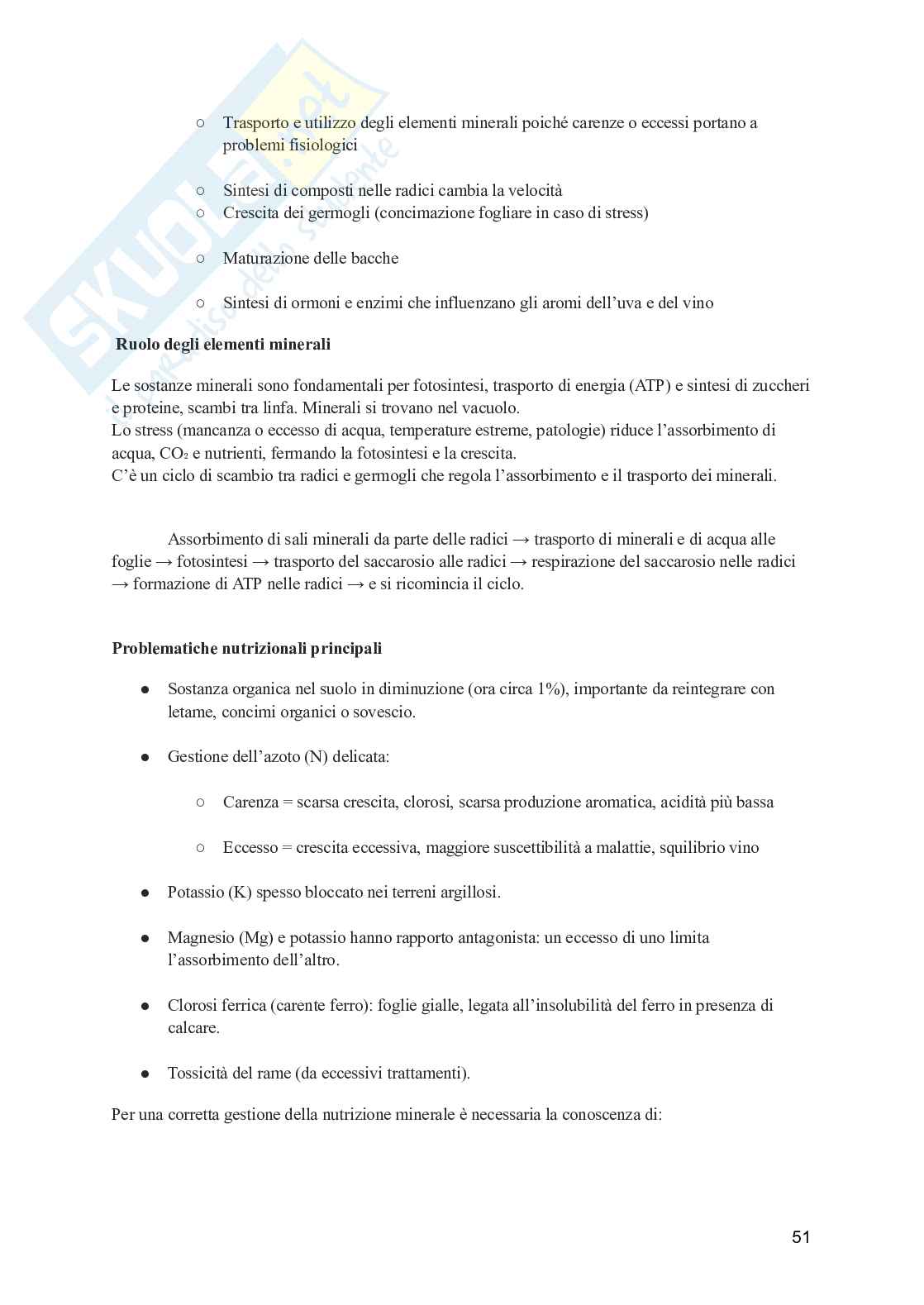 Viticoltura generale Pag. 51