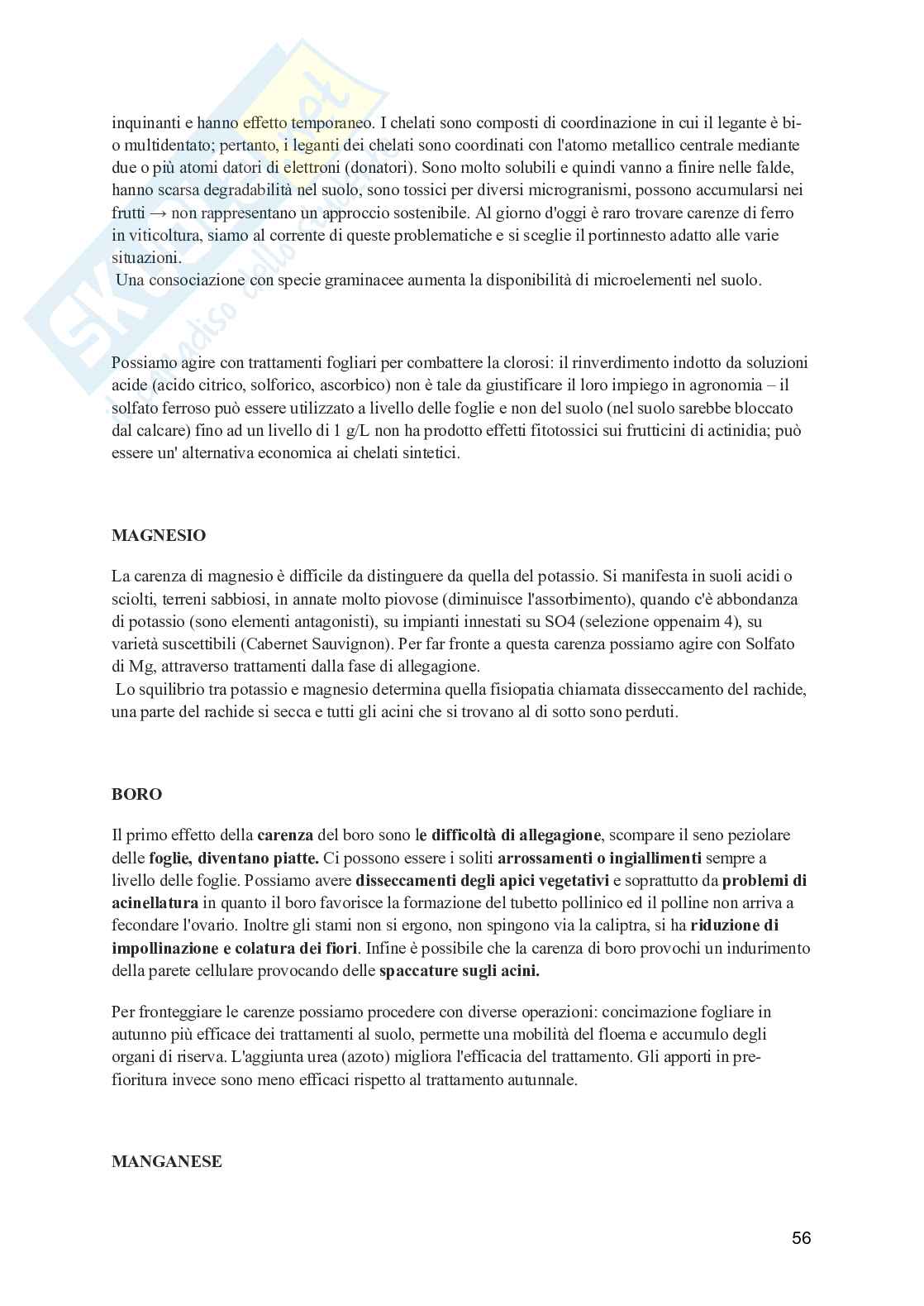 Viticoltura generale Pag. 56