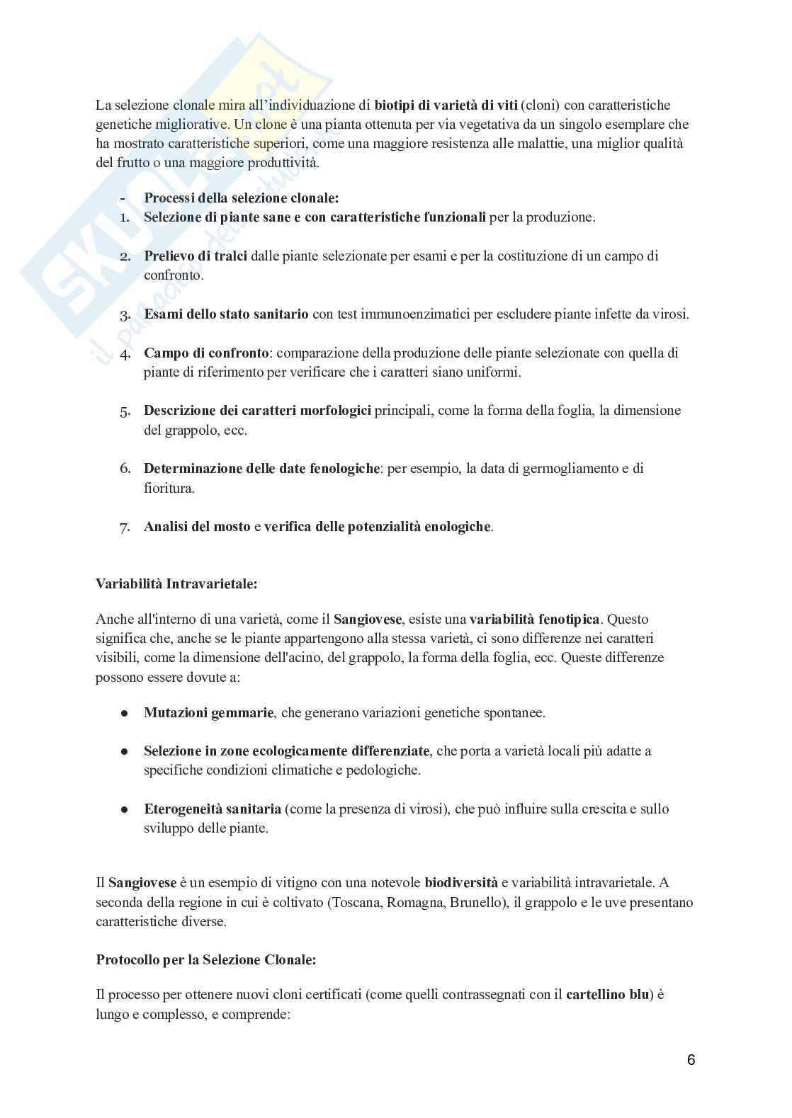 Viticoltura generale Pag. 6