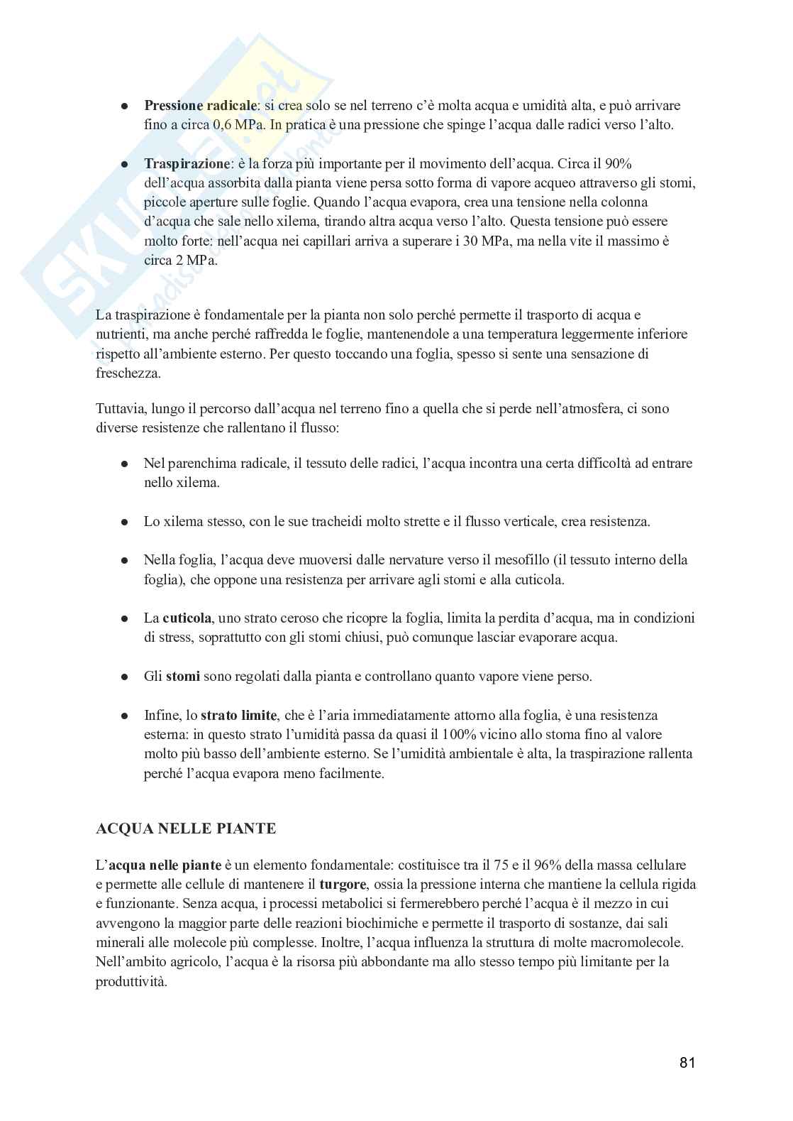 Viticoltura generale Pag. 81