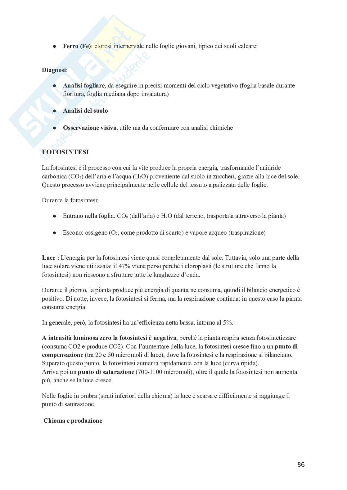 Viticoltura generale Pag. 86