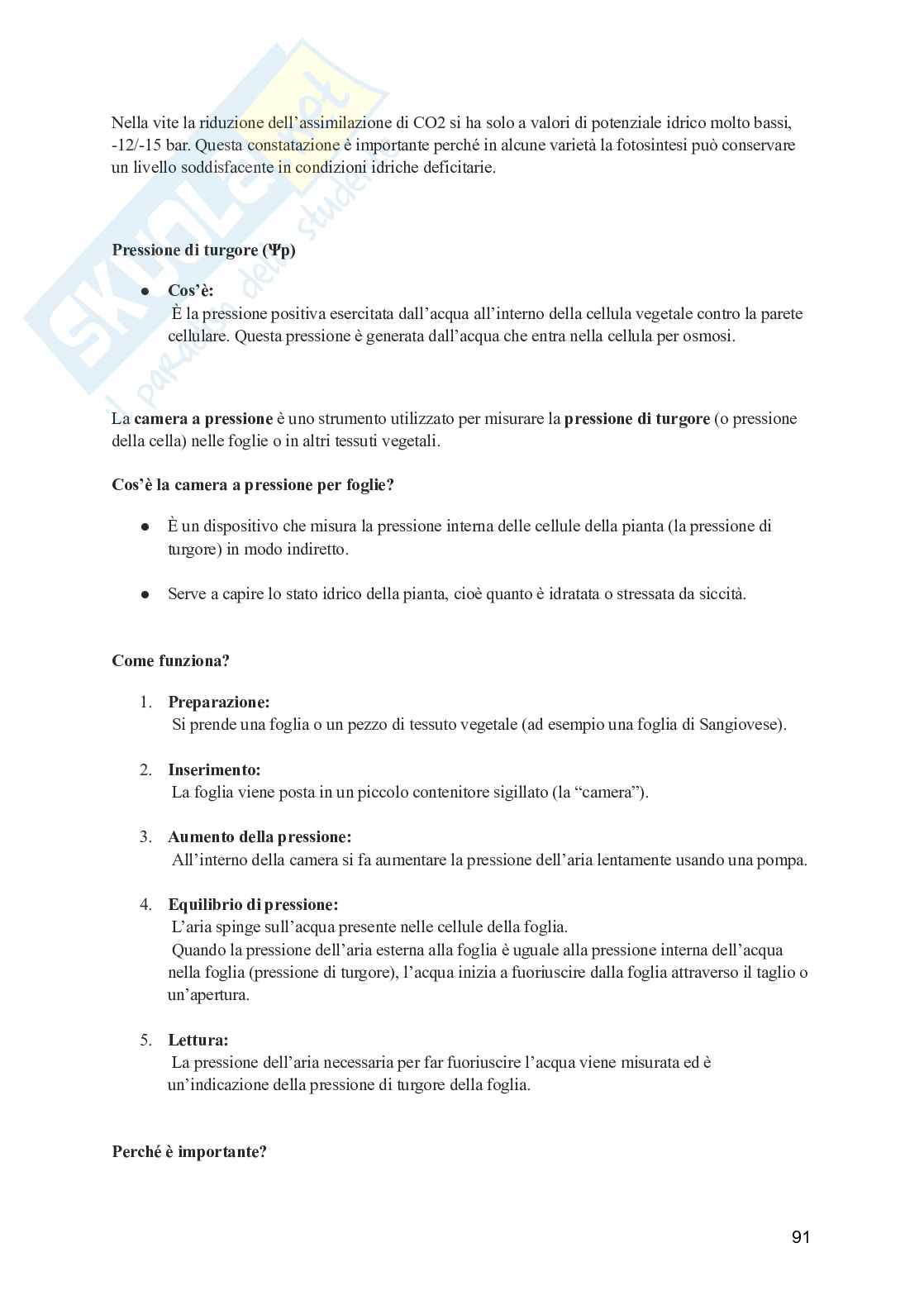 Viticoltura generale Pag. 91