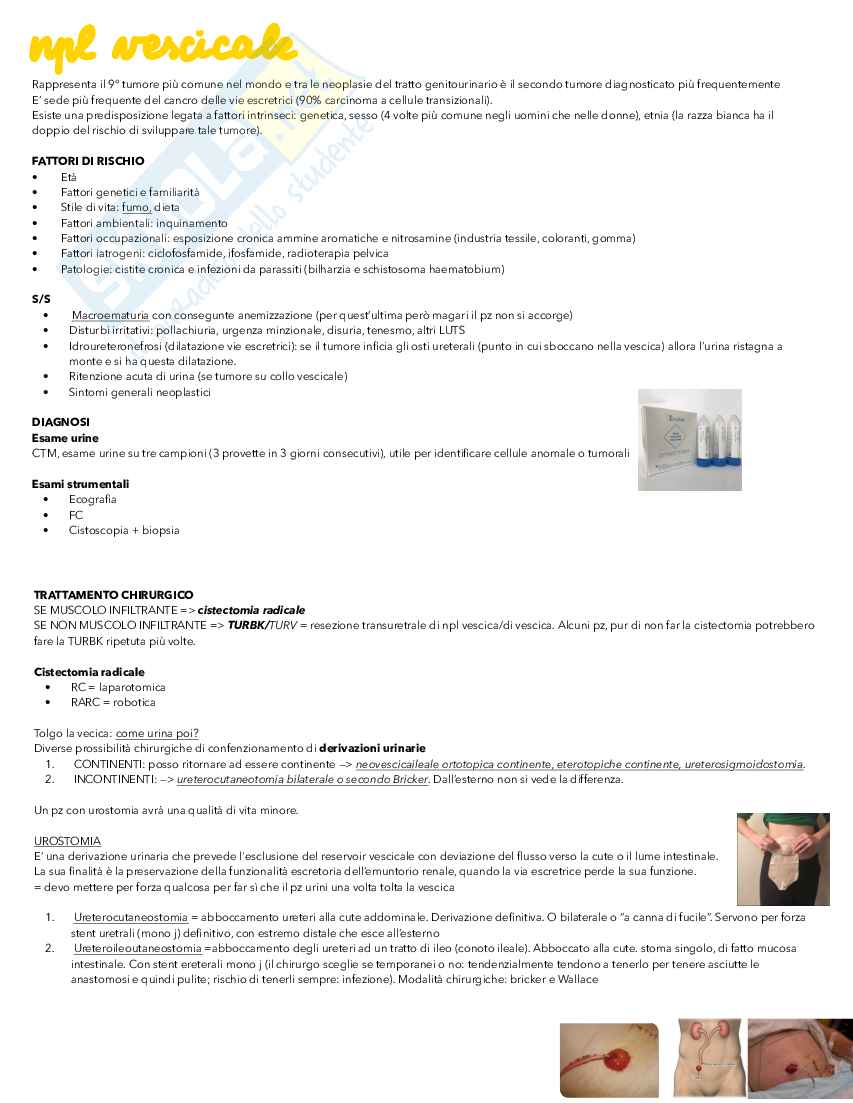 Infermieristica clinica in chirurgia specialistica 1 - urologia e ortopedia Pag. 16