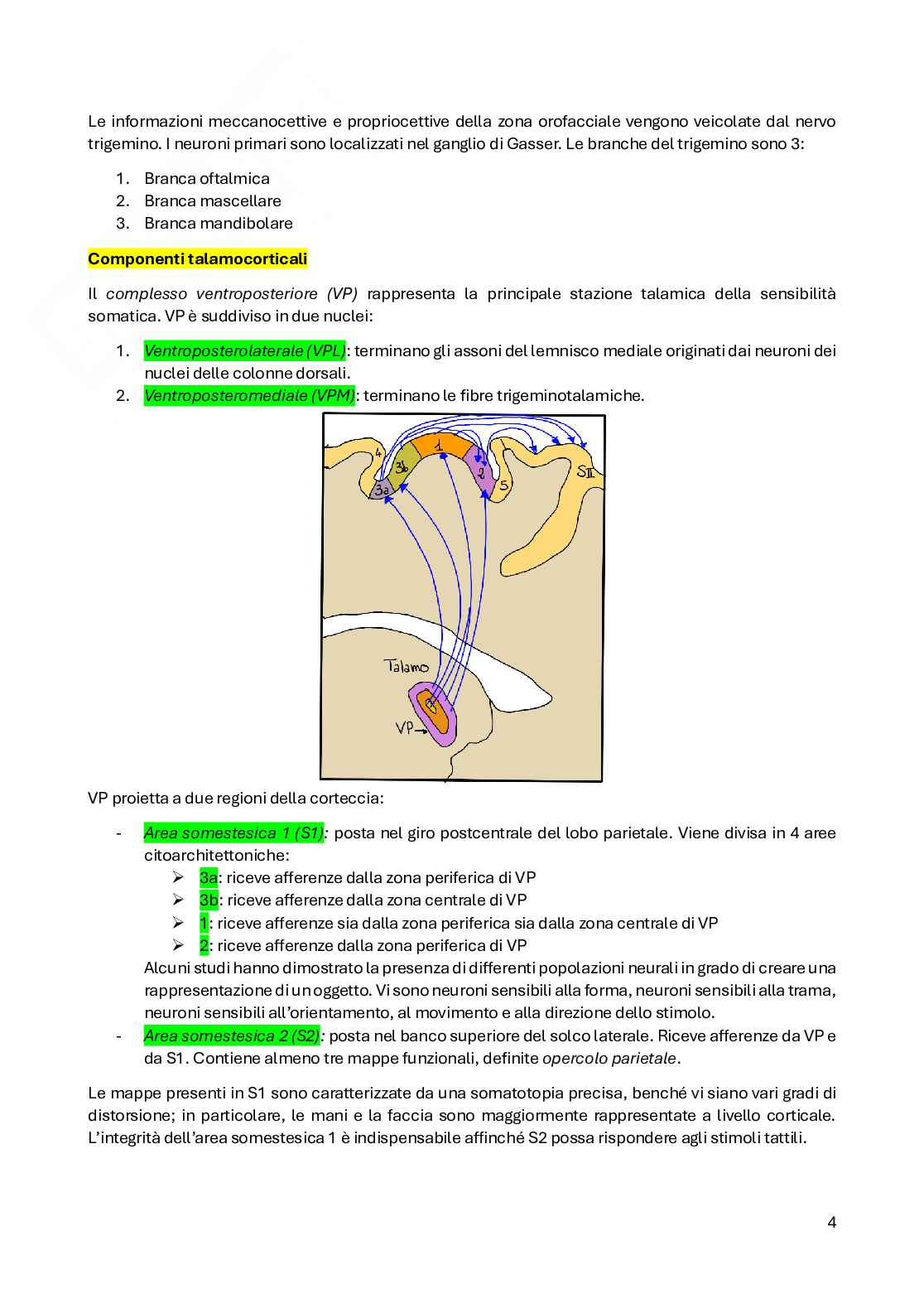 Fisiologia del sistema nervoso Pag. 16