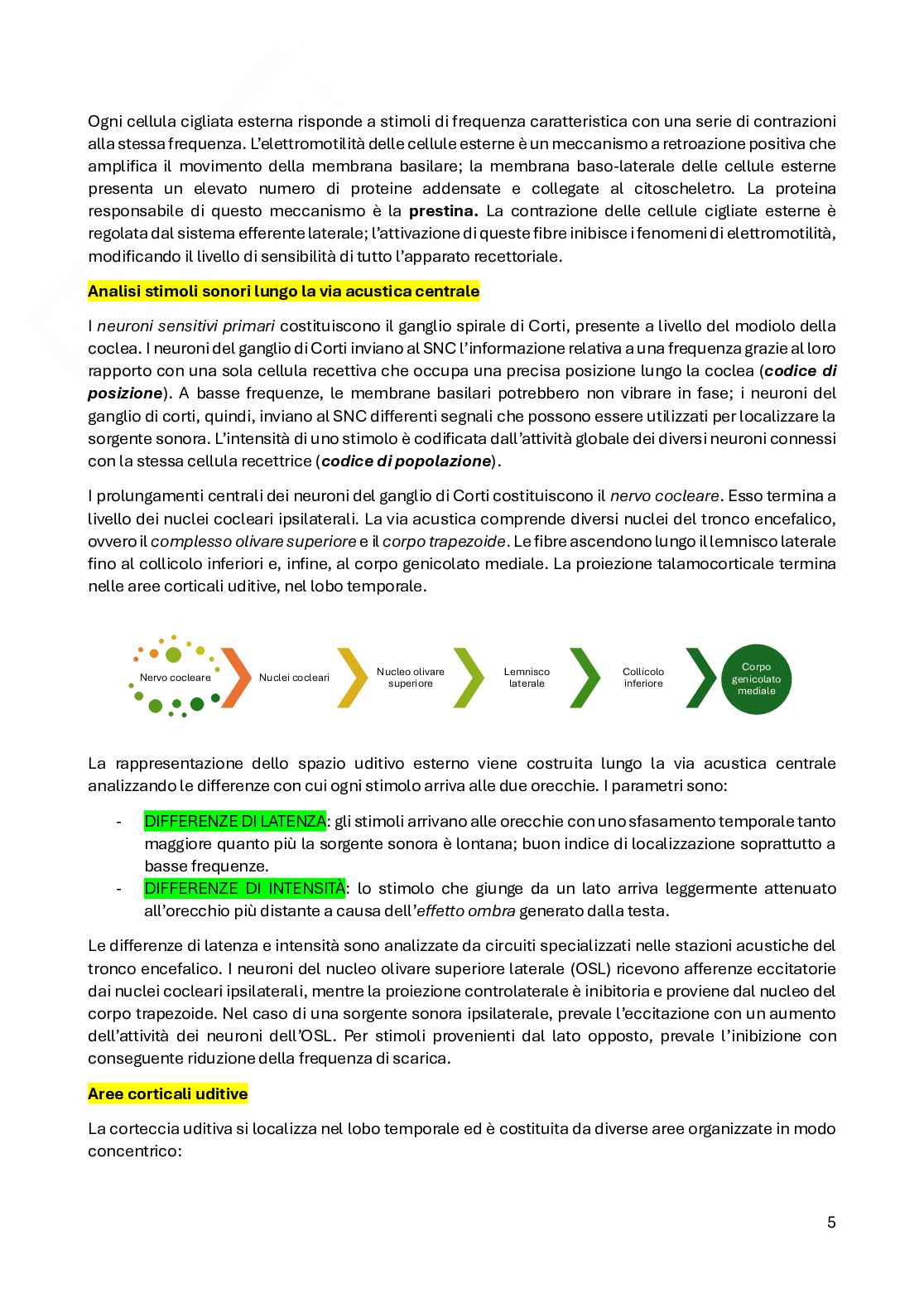 Fisiologia del sistema nervoso Pag. 31