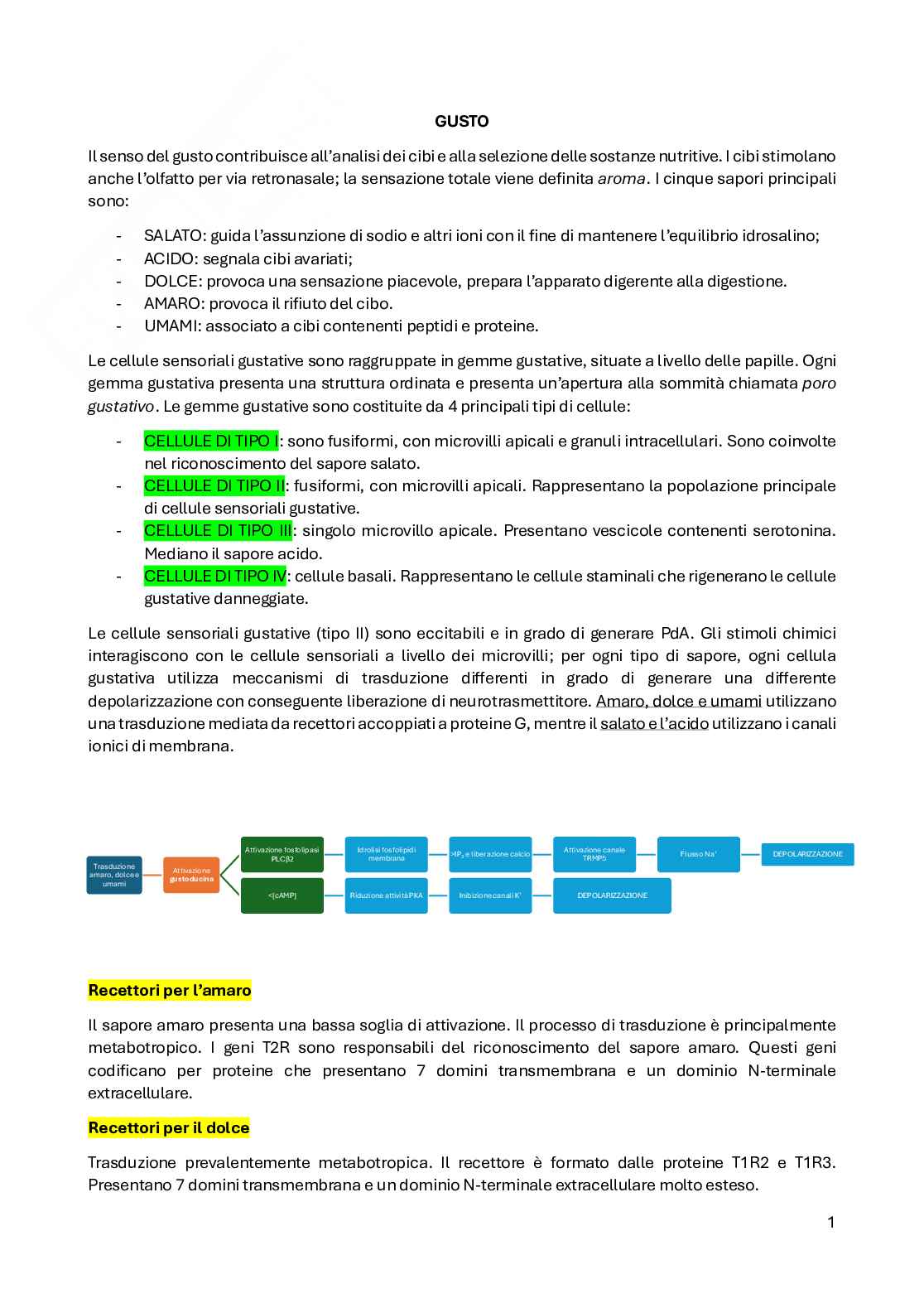 Fisiologia del sistema nervoso Pag. 36