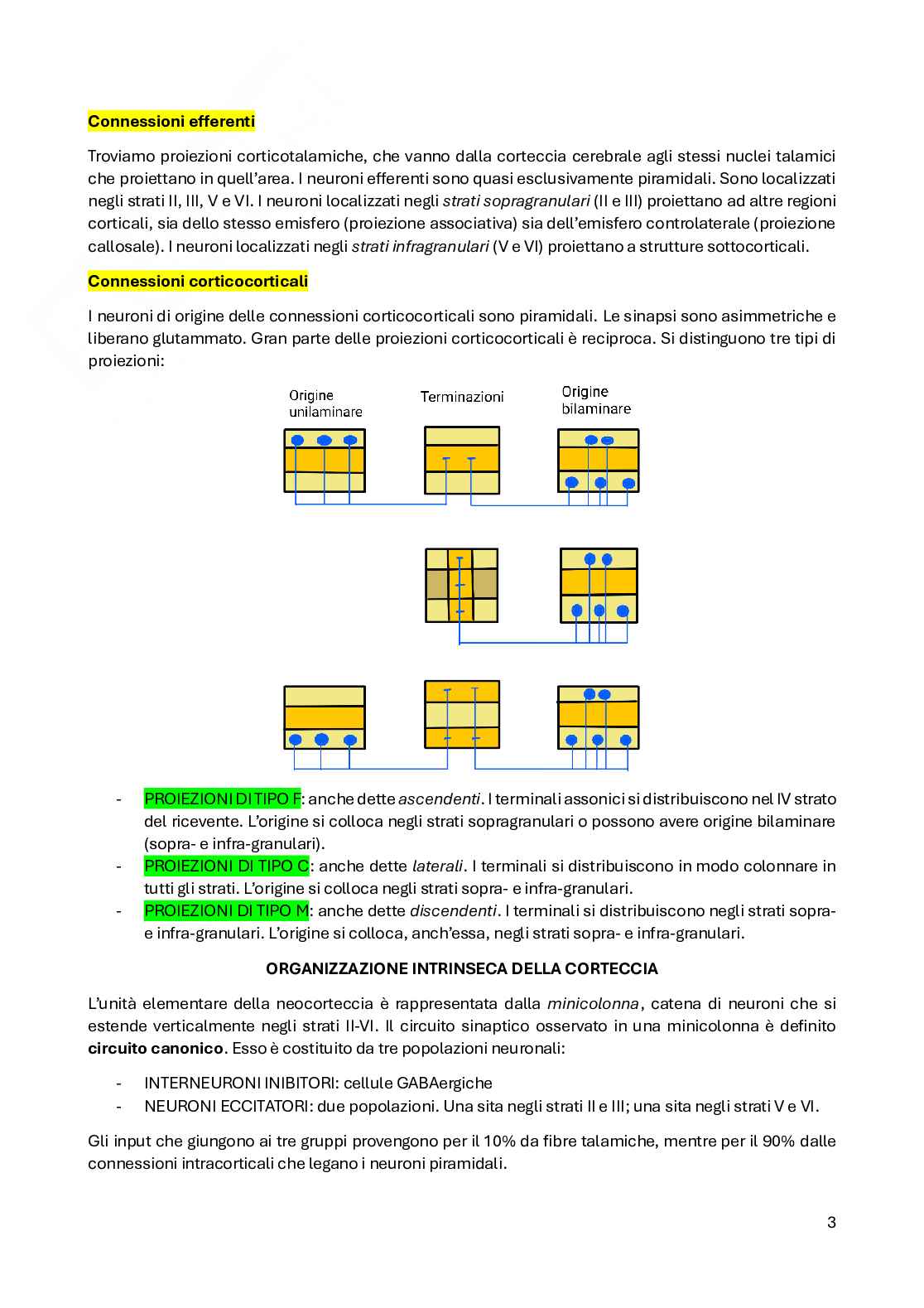 Fisiologia del sistema nervoso Pag. 6