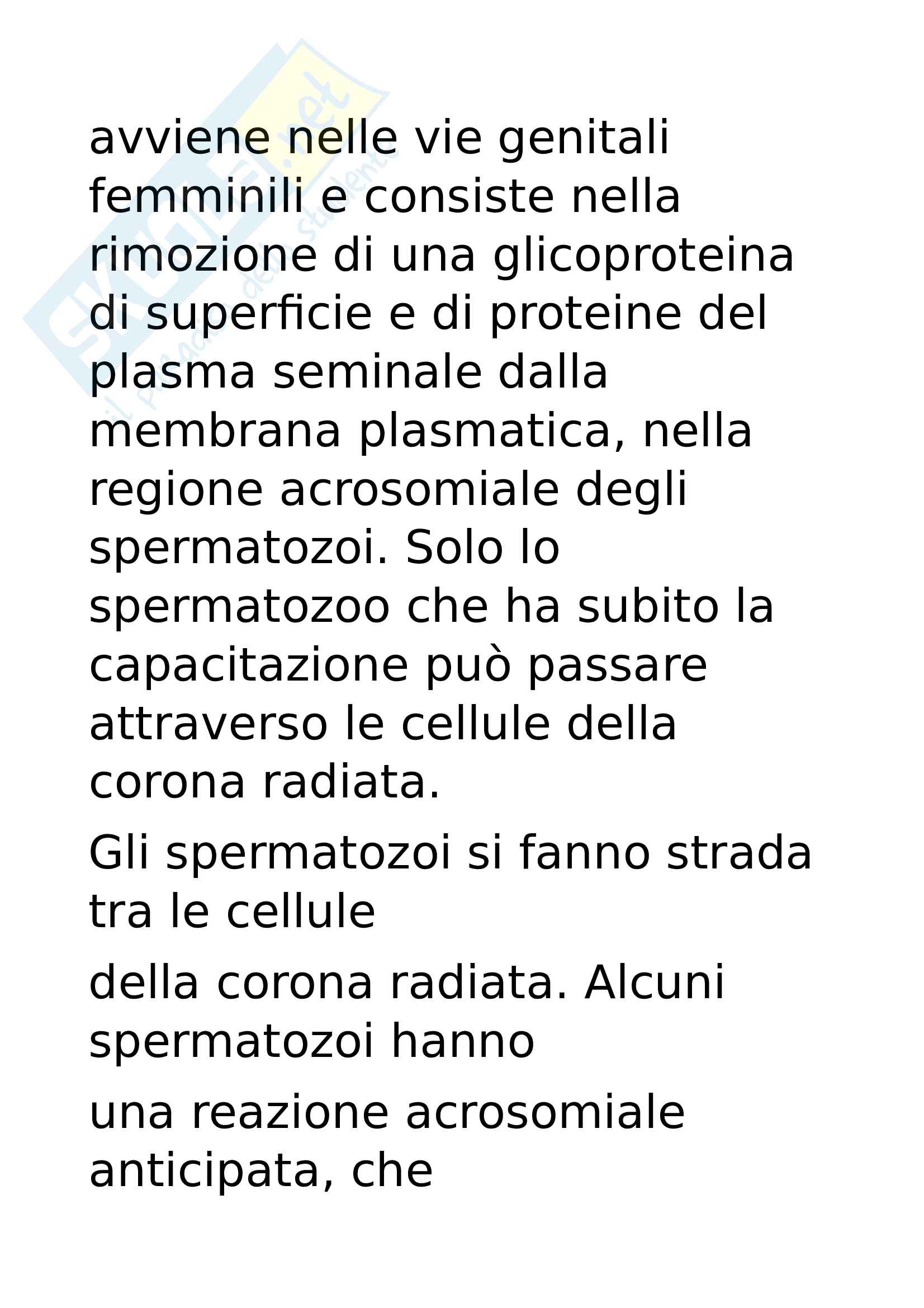 Fecondazione Pag. 2