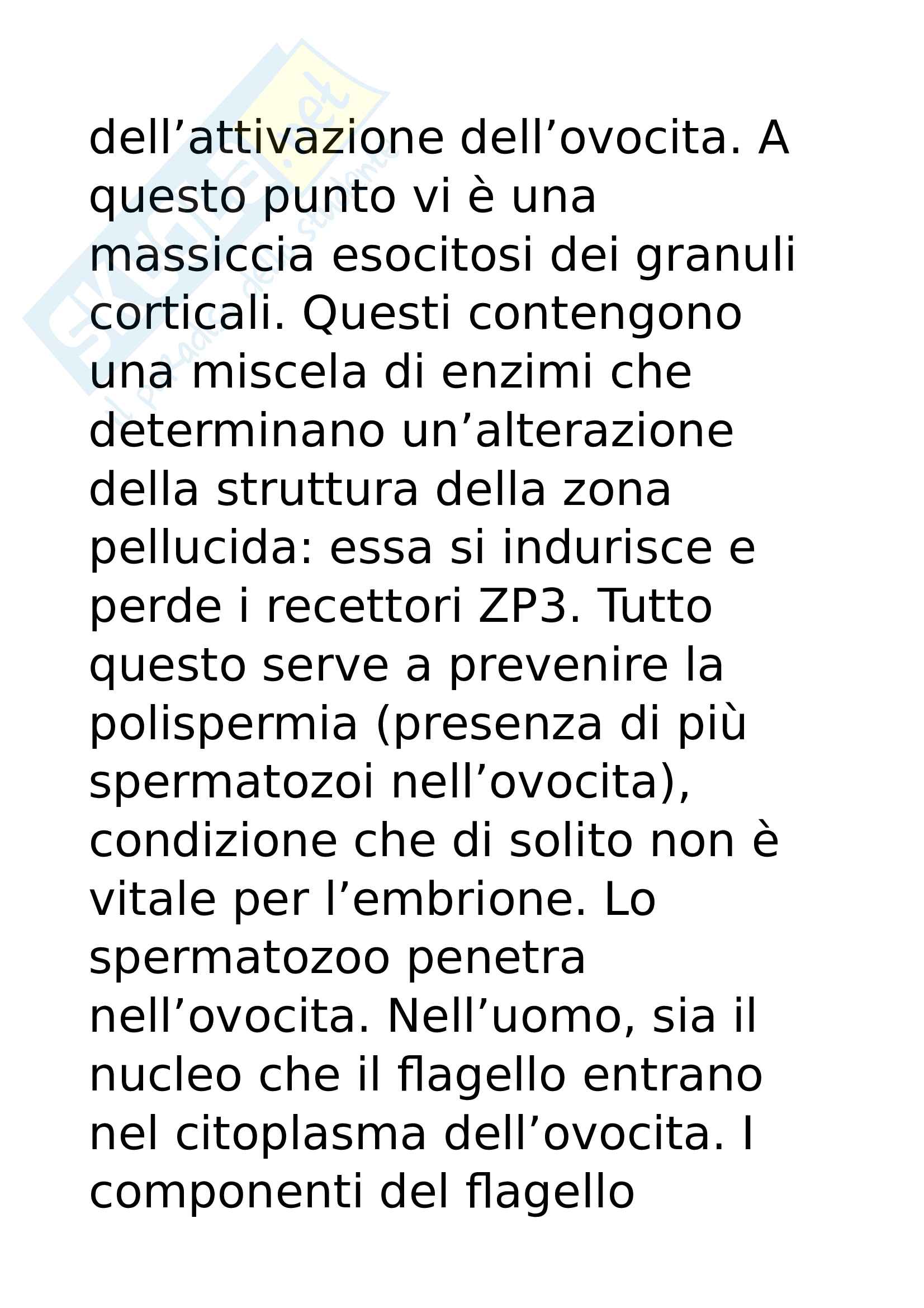 Fecondazione Pag. 6
