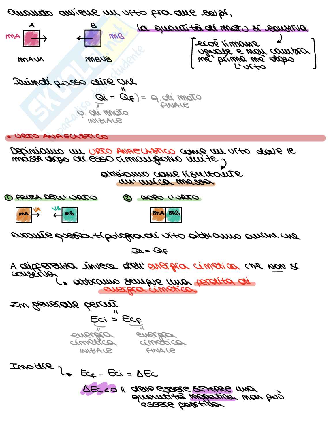 Appunti teorici di fisica generale  Pag. 16