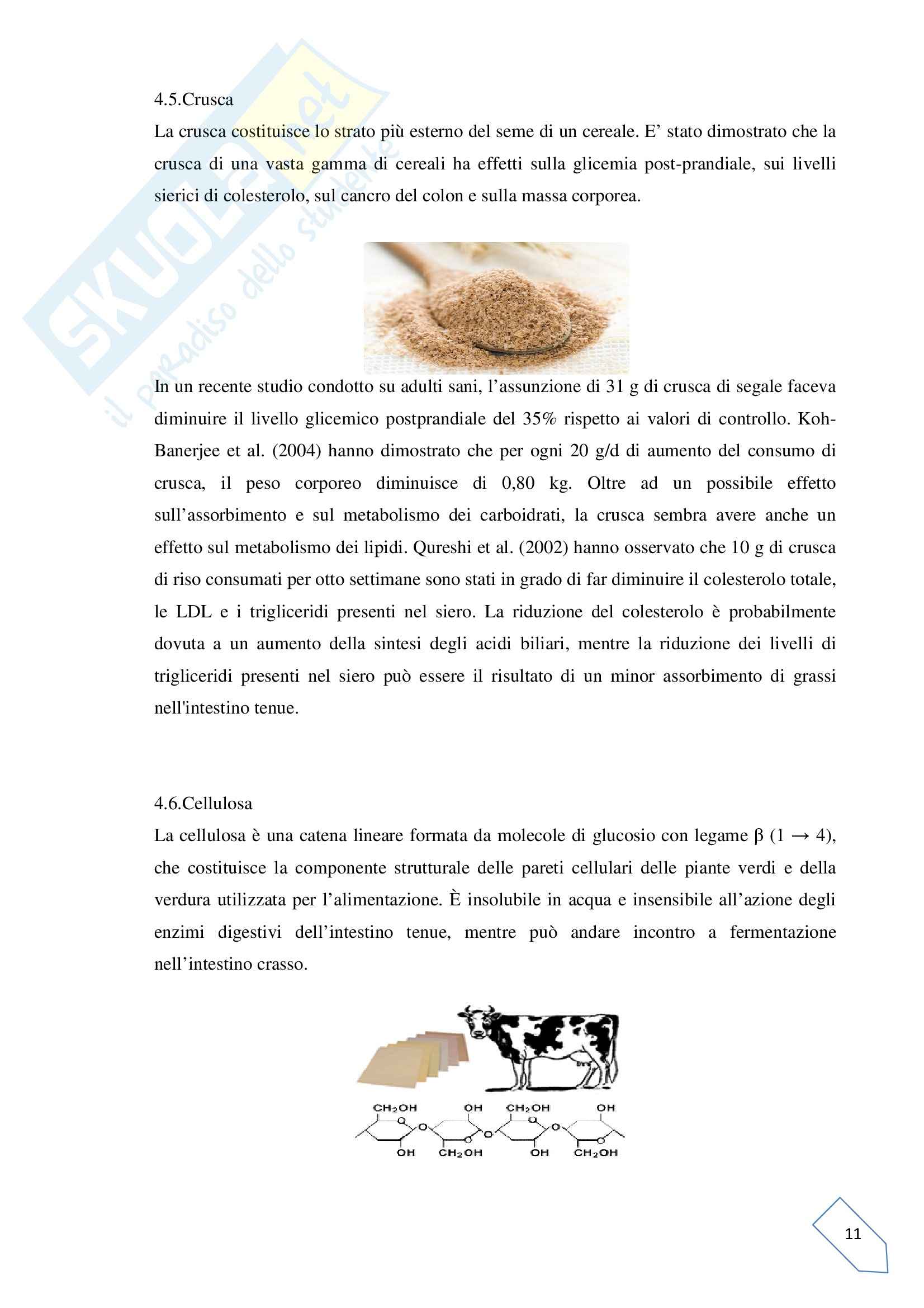 Tesi - Effetti della fibra alimentare e dei suoi componenti sulla salute metabolica Pag. 11