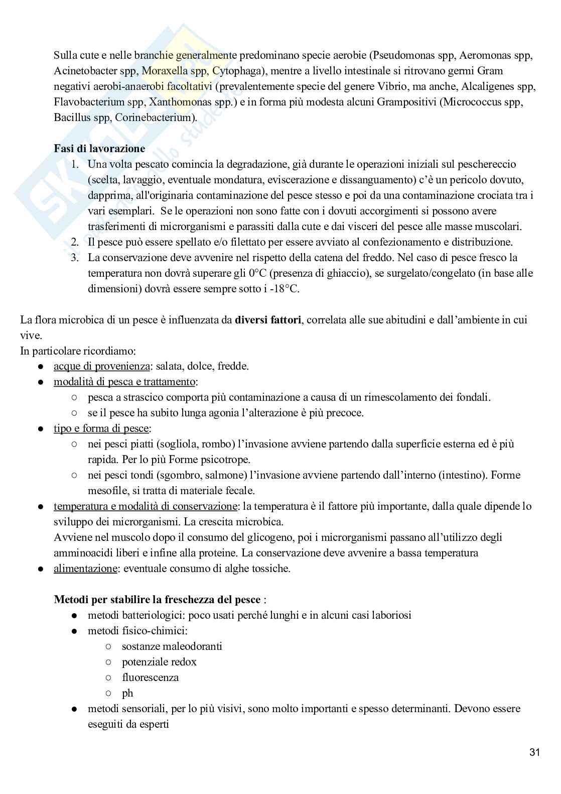Microbiologia alimentare Pag. 31