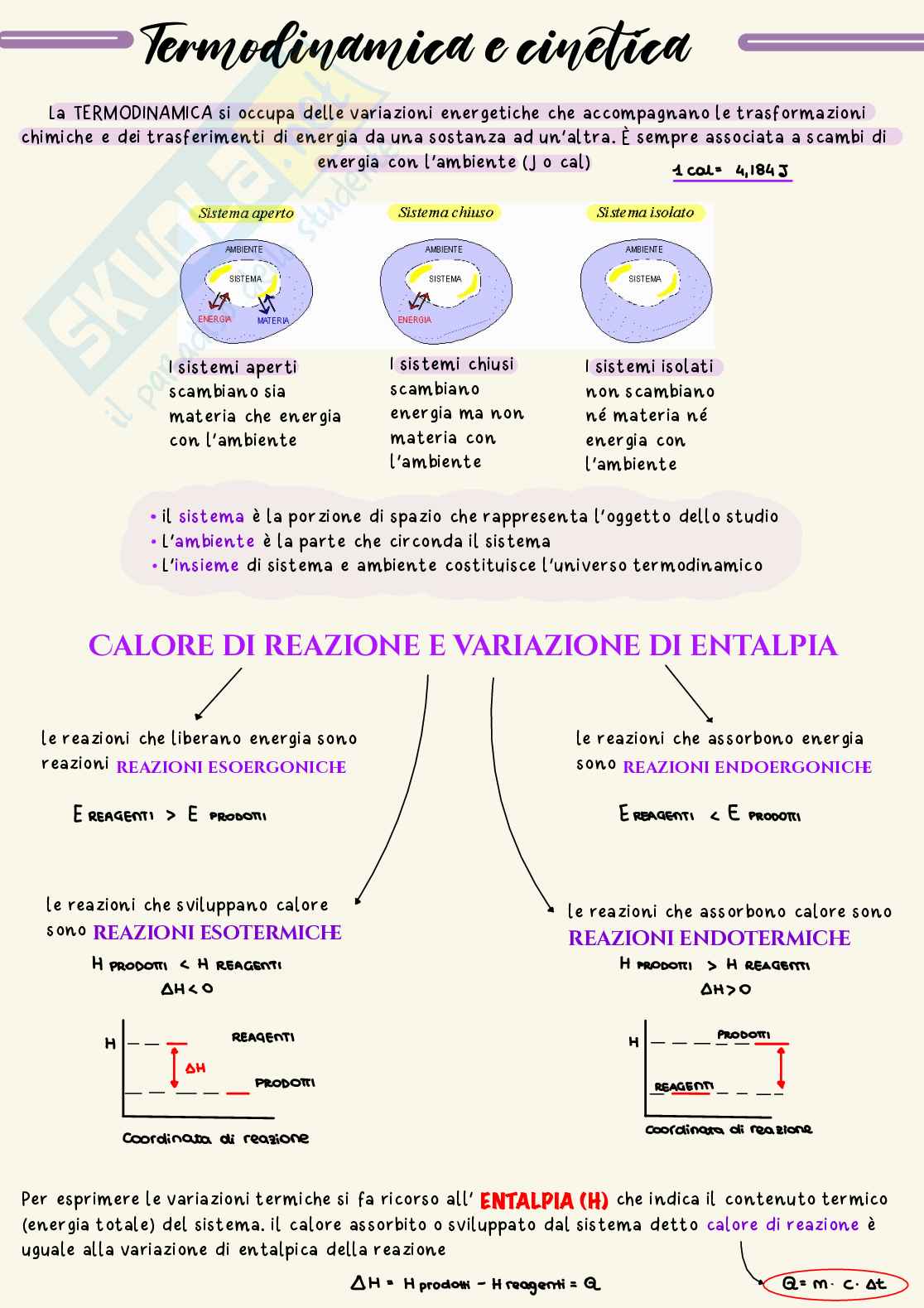 Termodinamica e cinetica Pag. 1