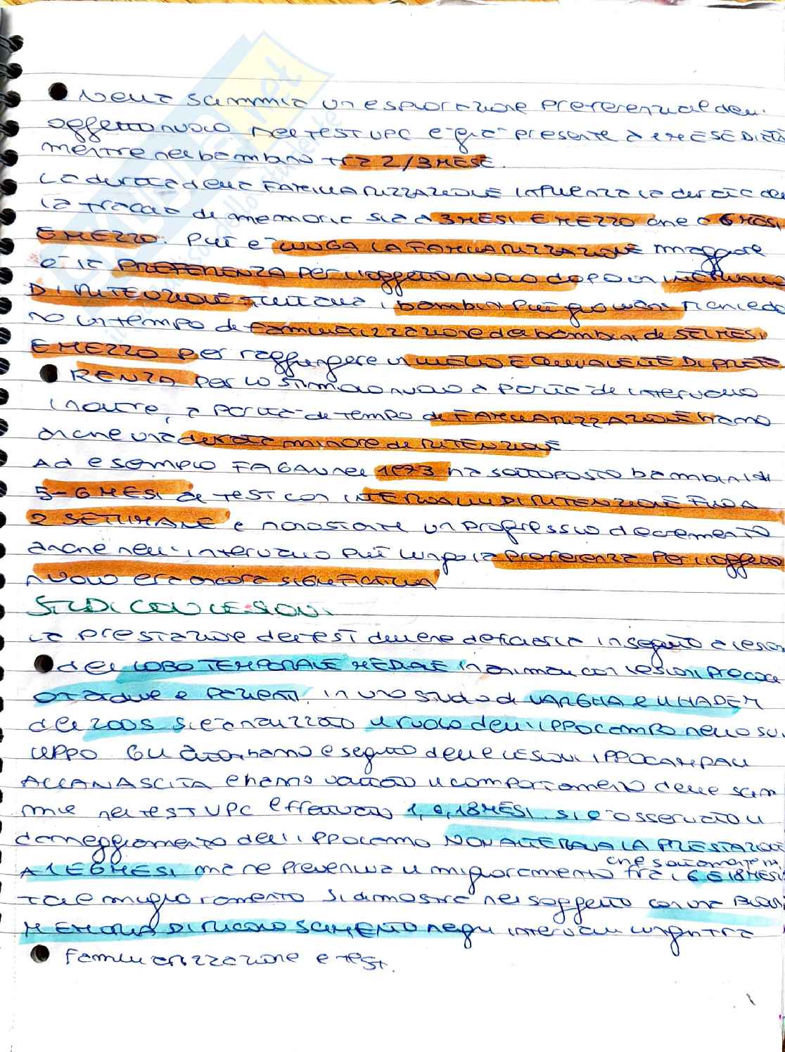 Psicobiologia: funzioni esecutive, working memory e corteccia prefrontale Pag. 1