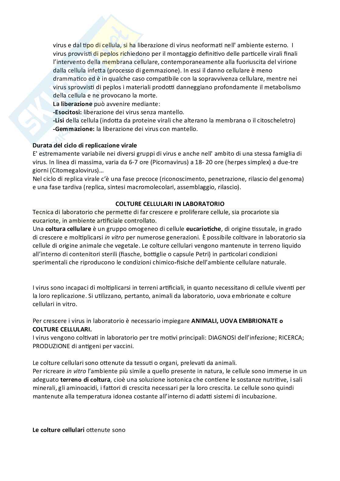 immunologia e virologia Pag. 6