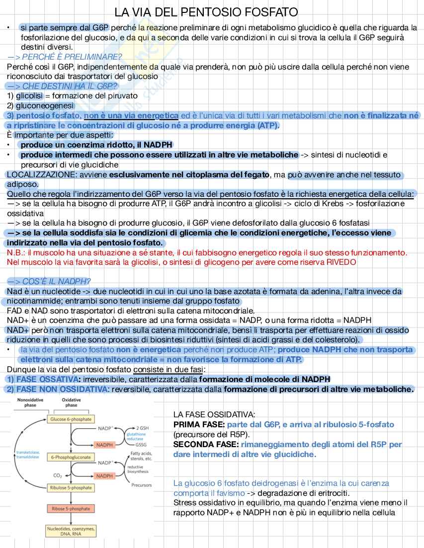 Biochimica e biologia molecolare Pag. 1