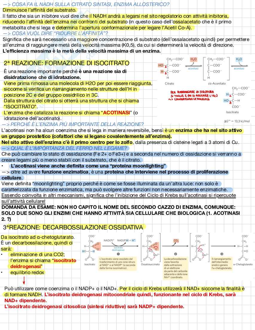 Biochimica e biologia molecolare Pag. 16