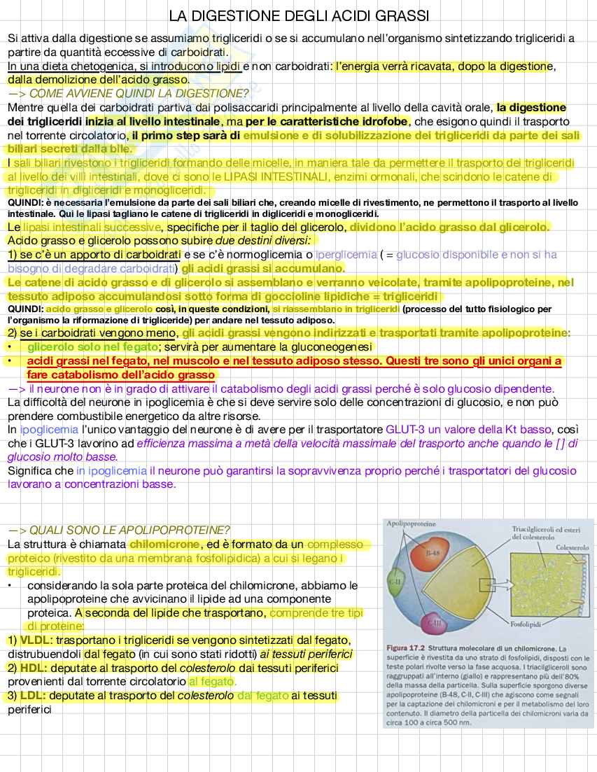 Biochimica e biologia molecolare Pag. 21