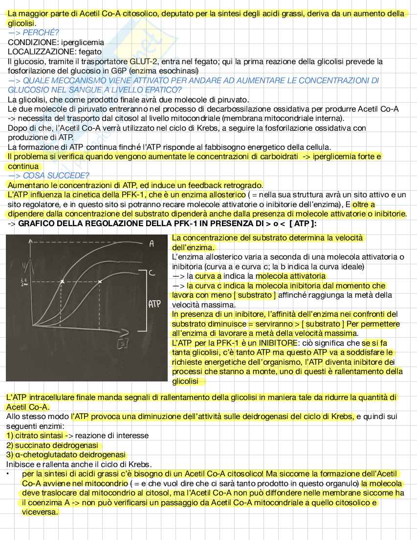 Biochimica e biologia molecolare Pag. 36