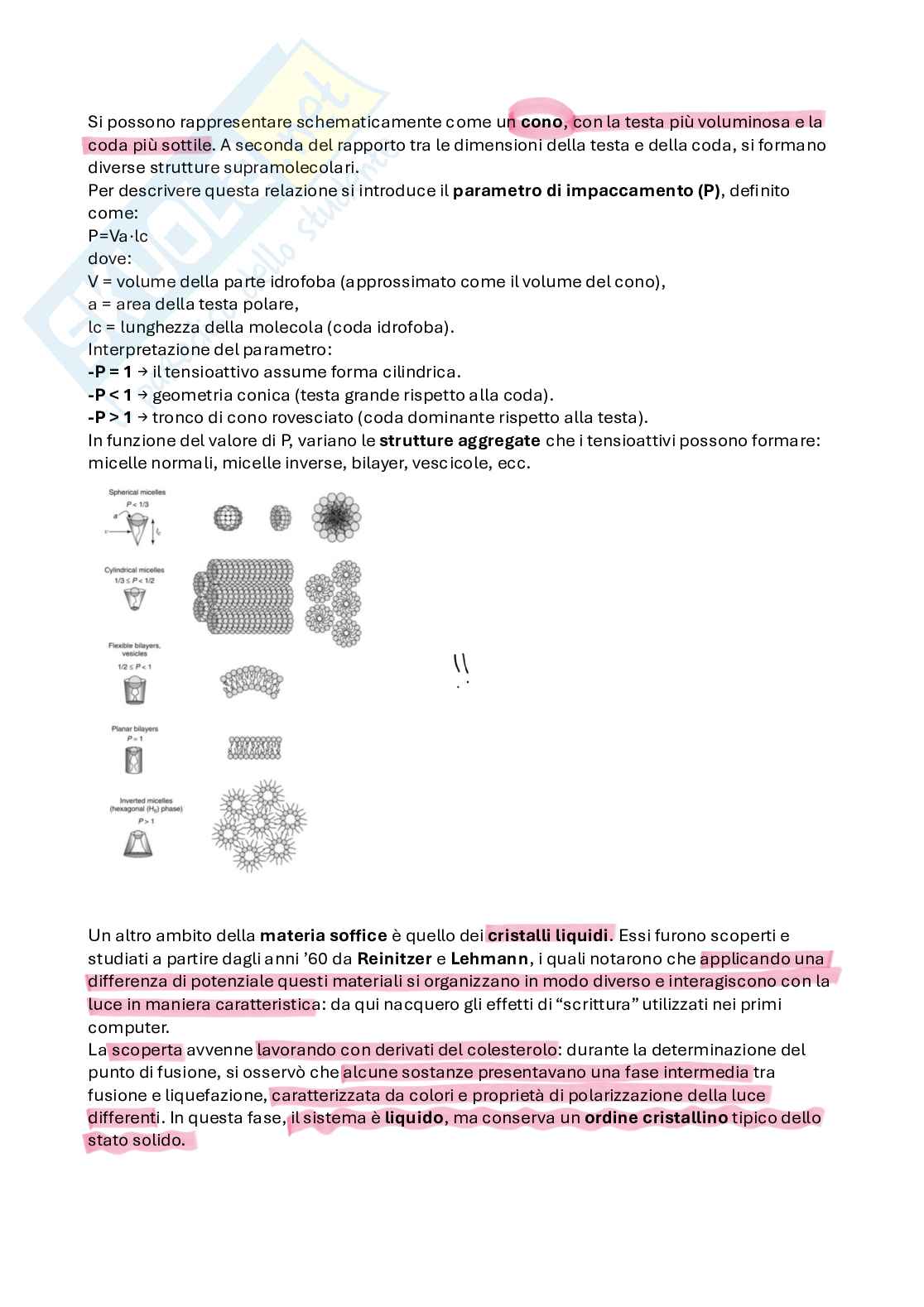 Appunti di Chimica inorganica superiore su soft matter e inclusione solida Pag. 2