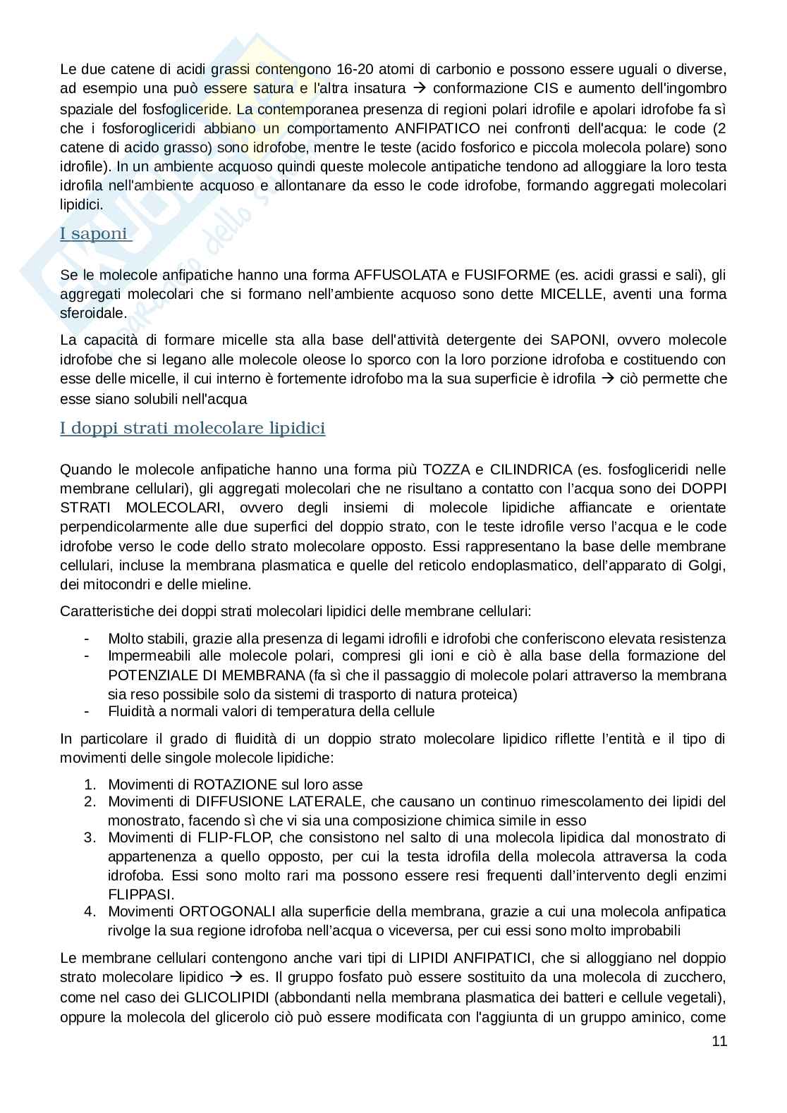 Appunti esame Biologia e fisiologia  Pag. 11