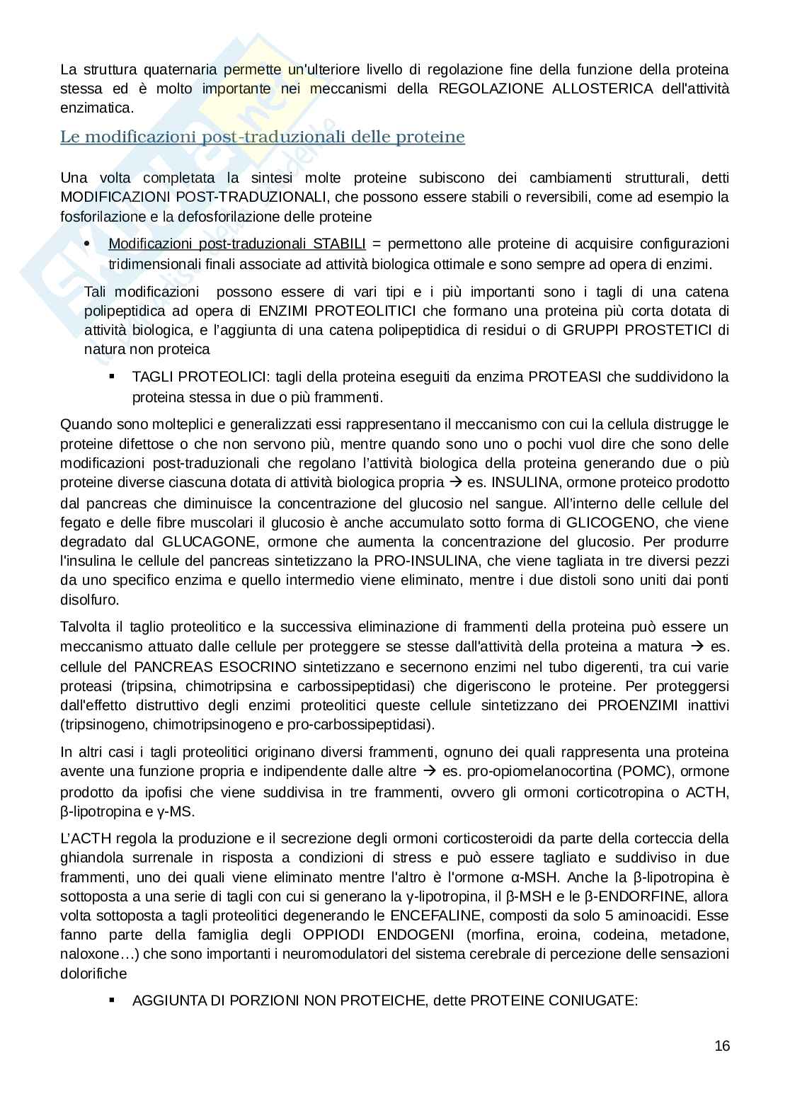 Appunti esame Biologia e fisiologia  Pag. 16