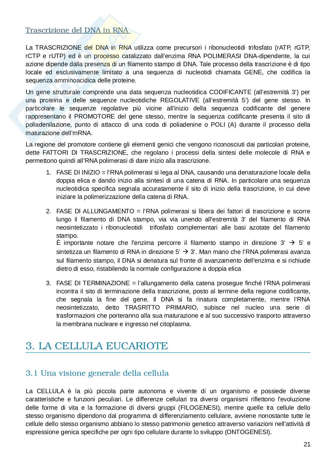 Appunti esame Biologia e fisiologia  Pag. 21