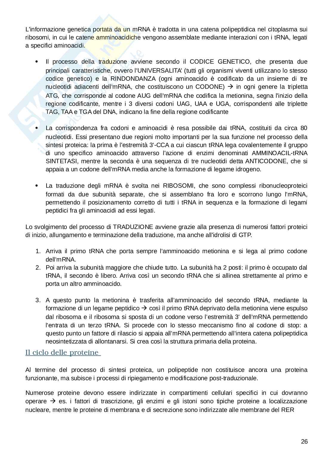 Appunti esame Biologia e fisiologia  Pag. 26