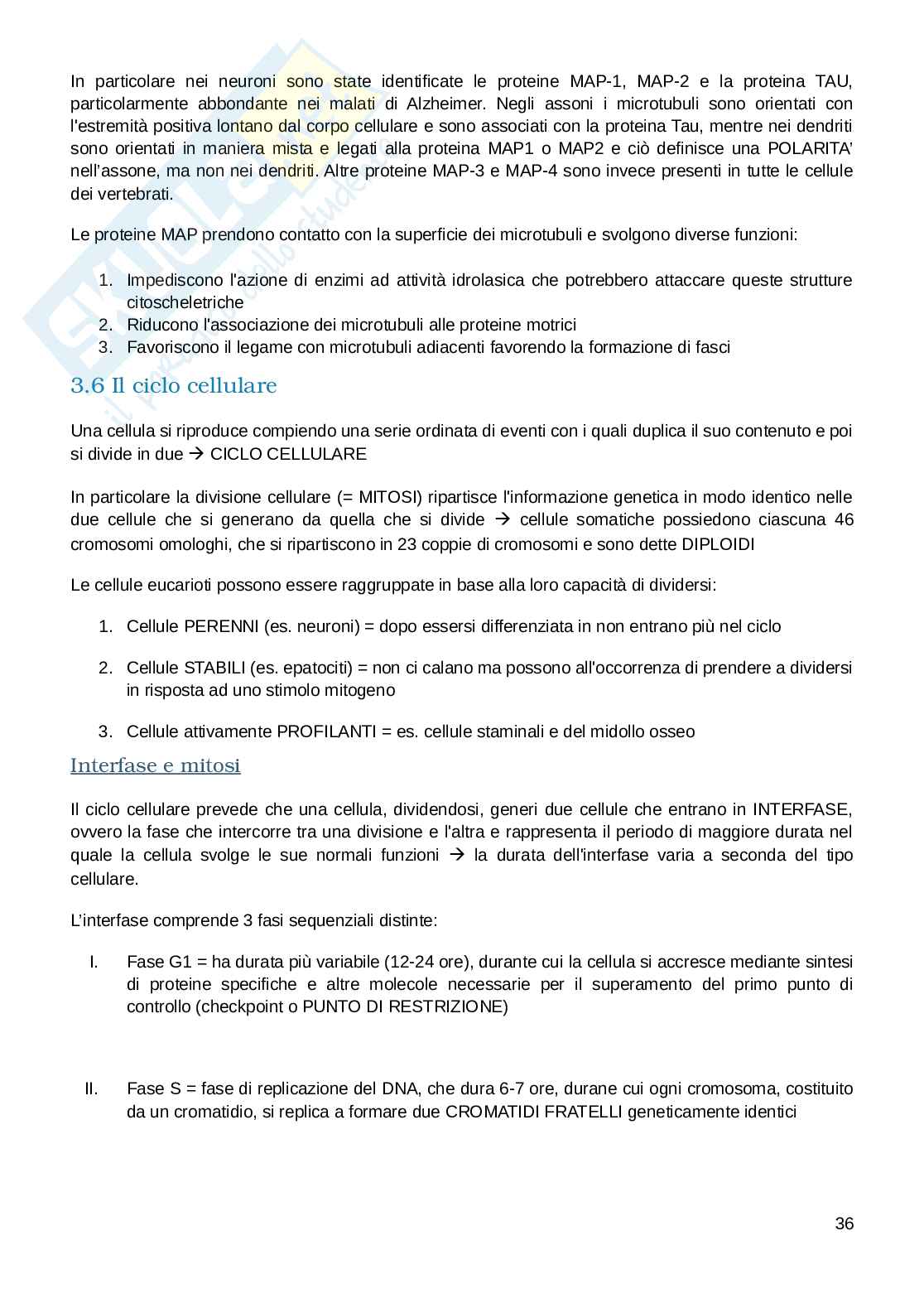 Appunti esame Biologia e fisiologia  Pag. 36