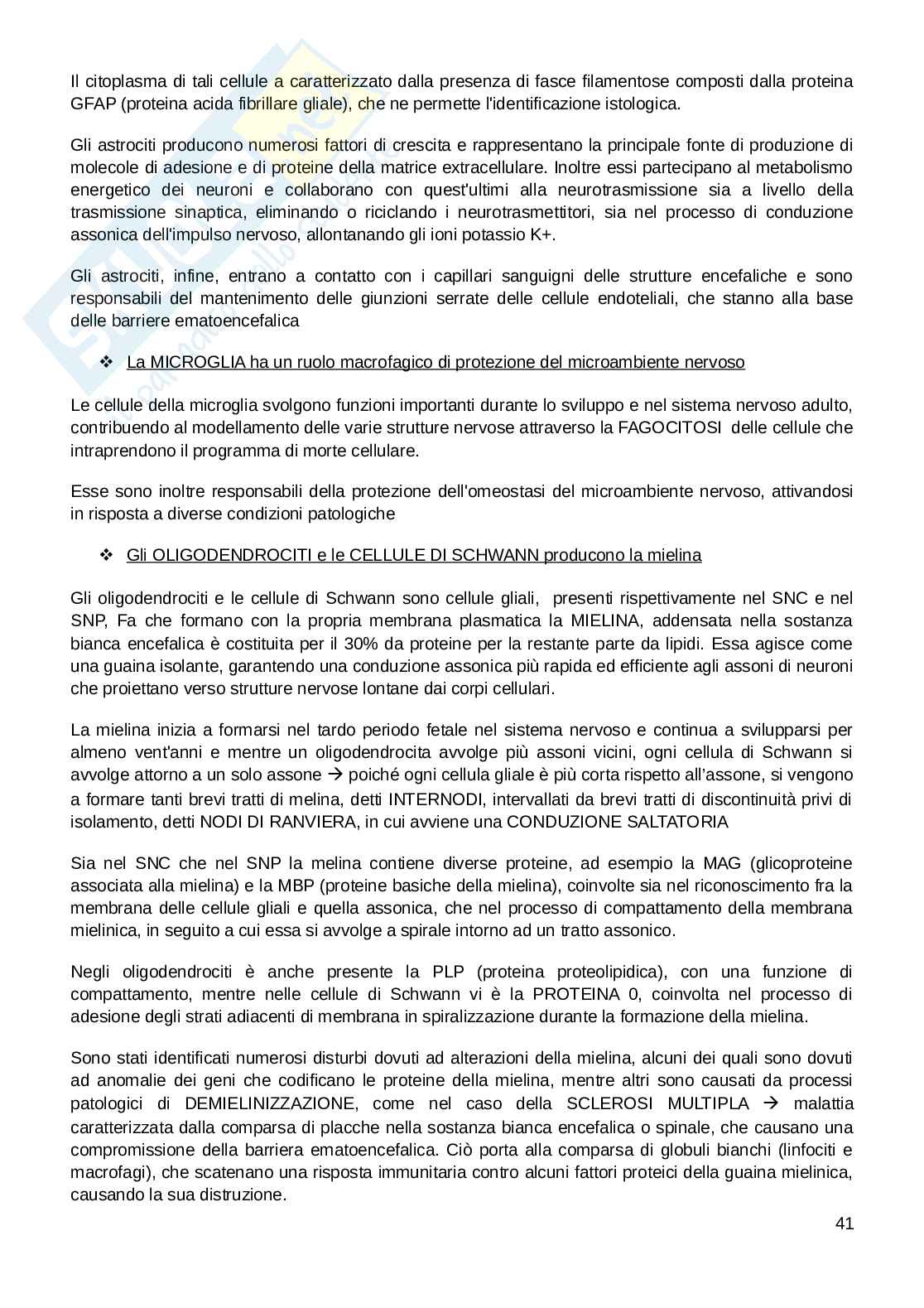Appunti esame Biologia e fisiologia  Pag. 41
