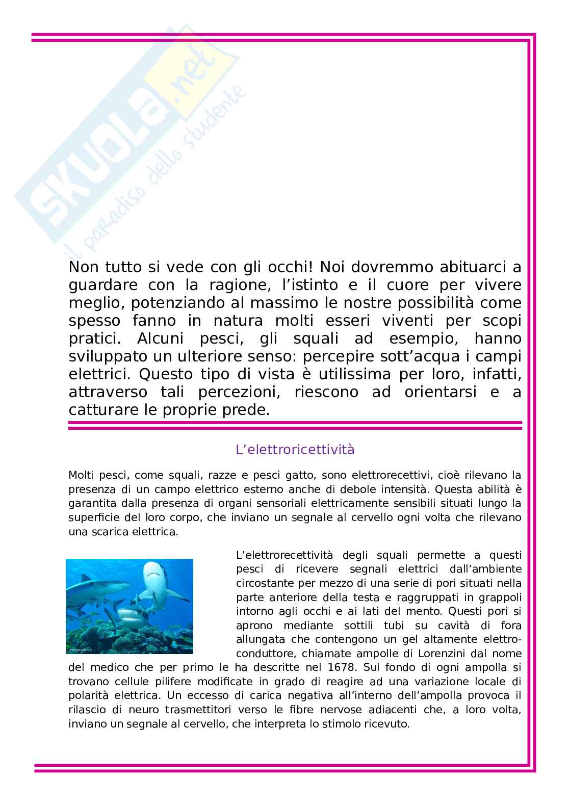 Vista - L'occhialuto uomo Pag. 46