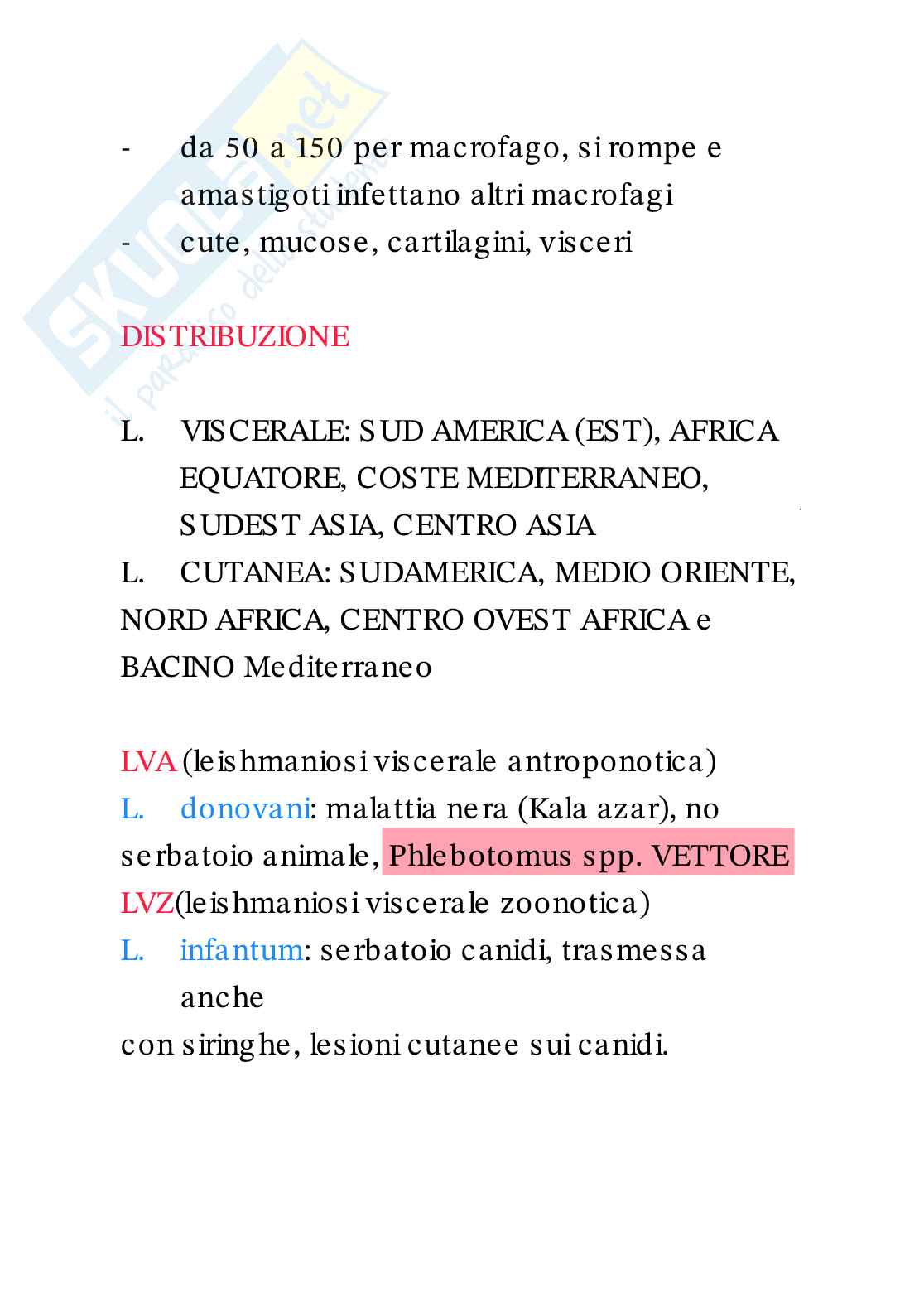 Riassunto esame Parassitologia, Prof. Guidi Loretta, libro consigliato Parassitologia generale ed umana, De Carneri Pag. 6