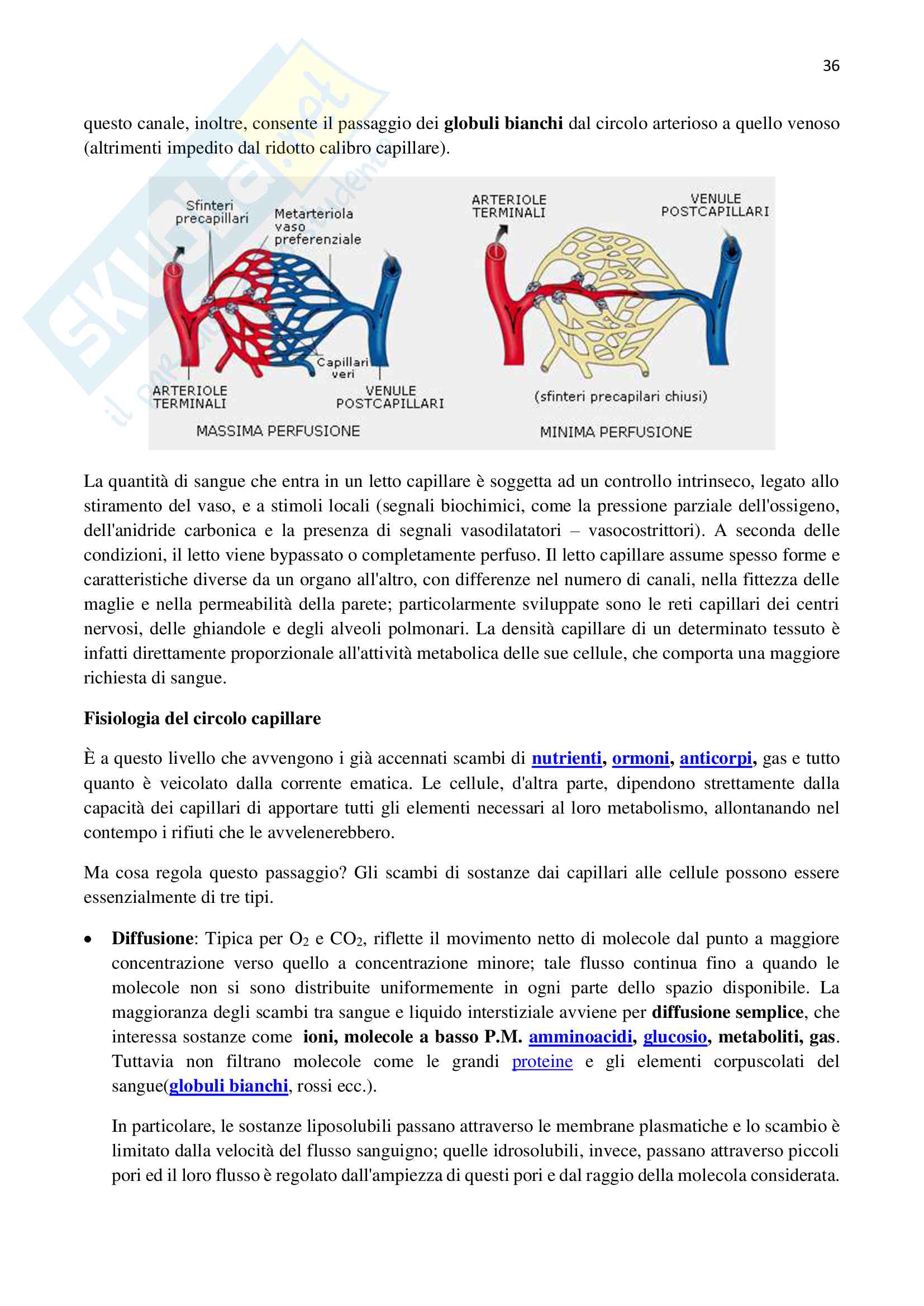 Fisiologia completa e schematica 2 parte Pag. 36