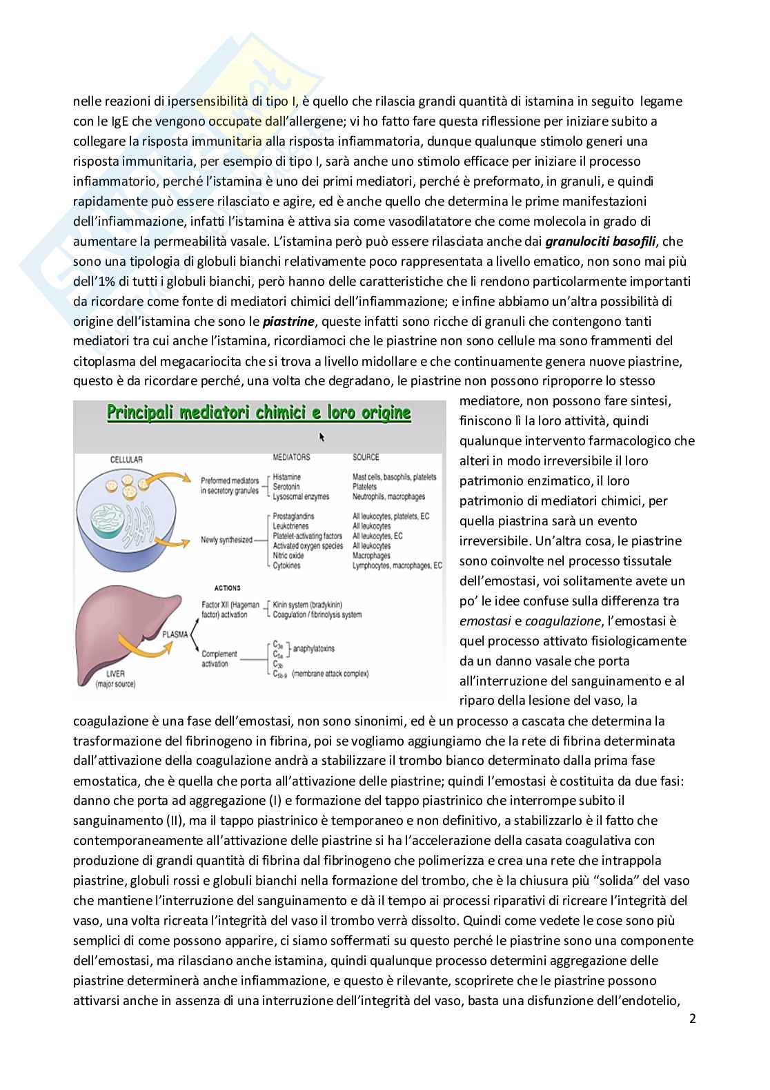 Patologia generale e fondamenti di fisiopatologia - parte 2 Pag. 11