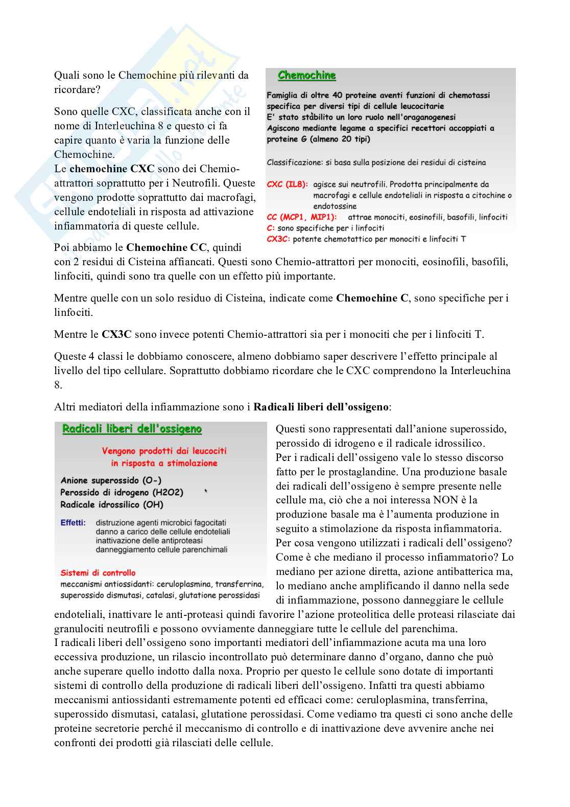 Patologia generale e fondamenti di fisiopatologia - parte 2 Pag. 41
